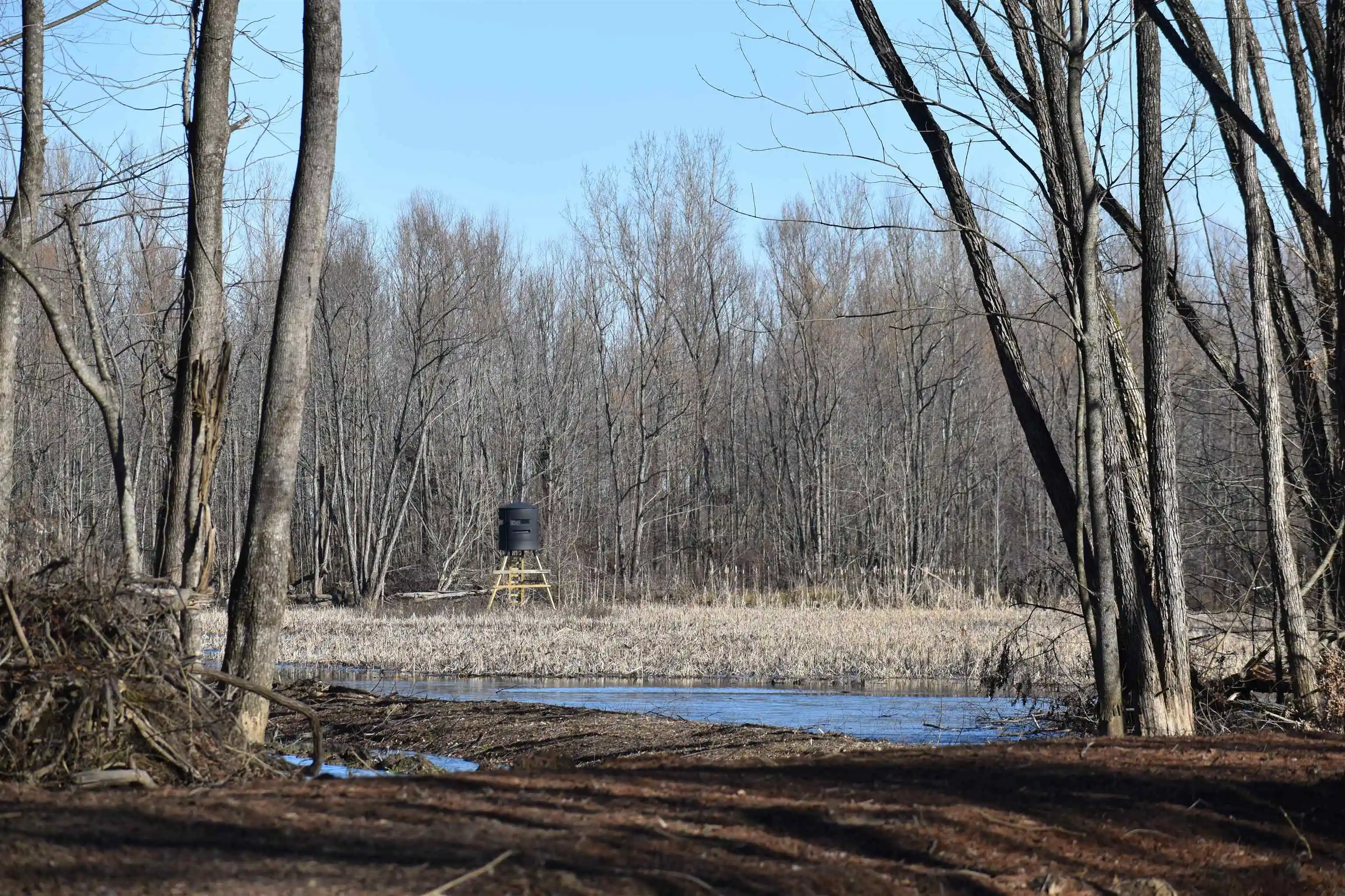 Photo 4 of Land for sale at 4591 Delta View Rd, Walls, MS 38680 | MLS# 10224170 | Listing updated on 2026-06-17