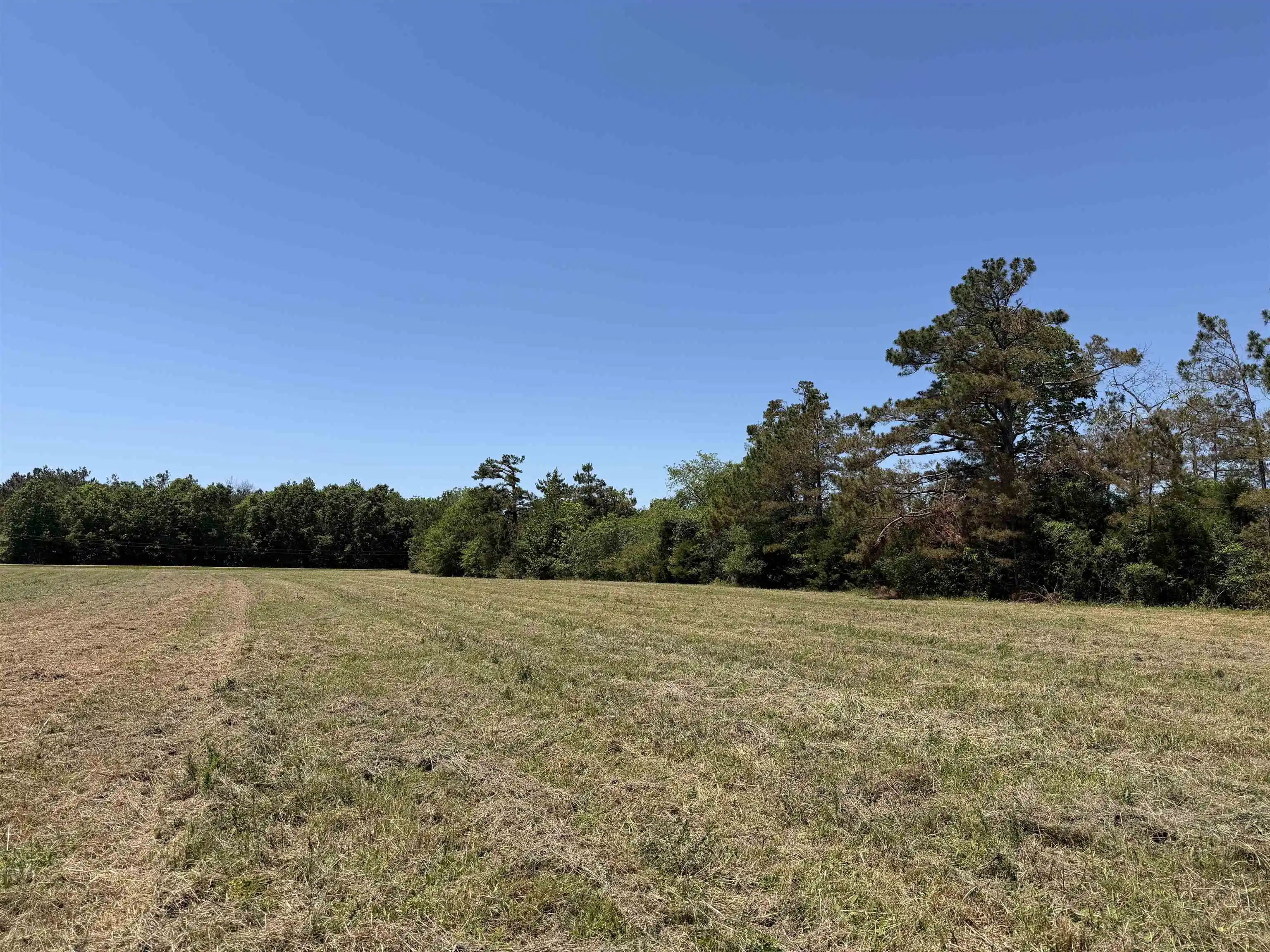 3rd image of 1 69 Hwy, Adamsville, TN 38310 | MLS# 10224185