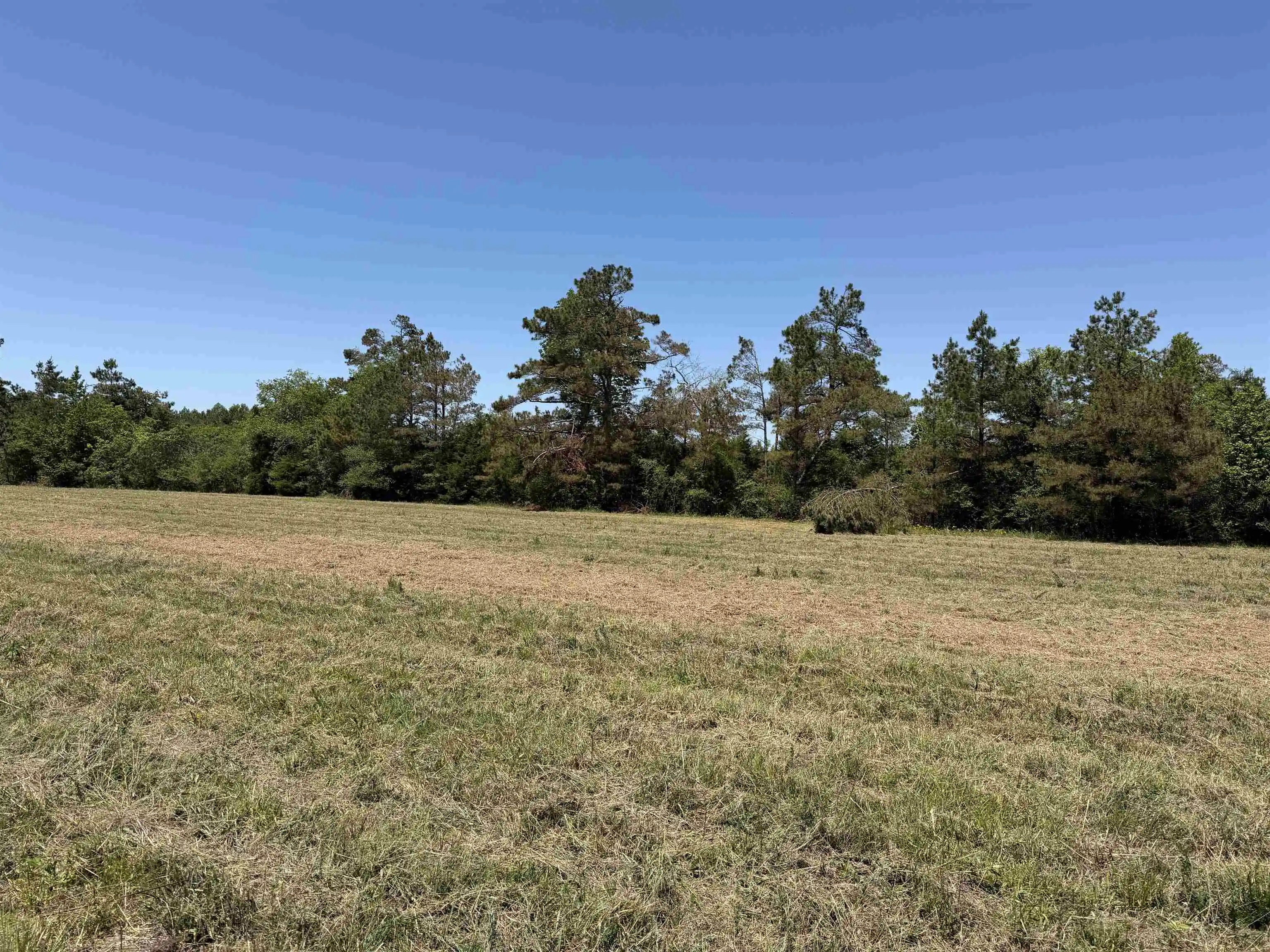 15th image of 1 69 Hwy, Adamsville, TN 38310 | MLS# 10224185