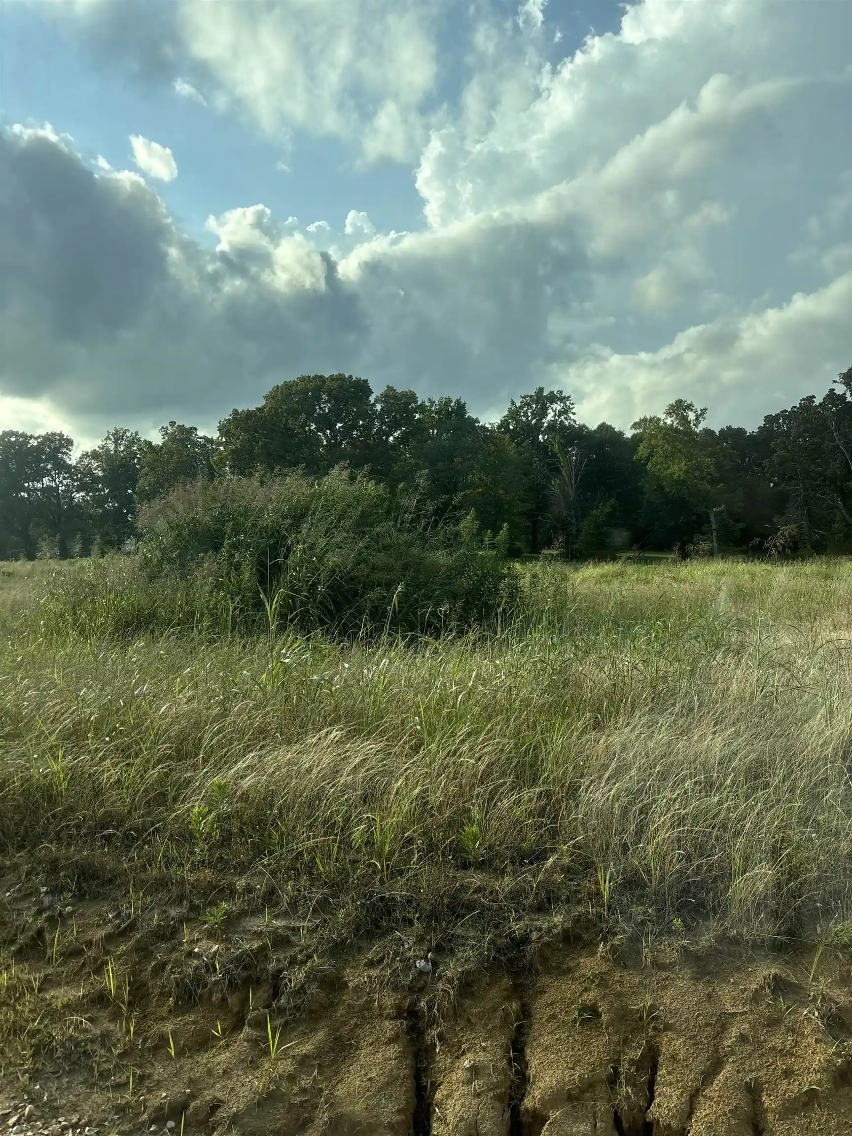 Photo 4 of Land for sale at Hill Ave, Henderson, TN 38340 | MLS# 10224186 | Listing updated on 2026-06-17