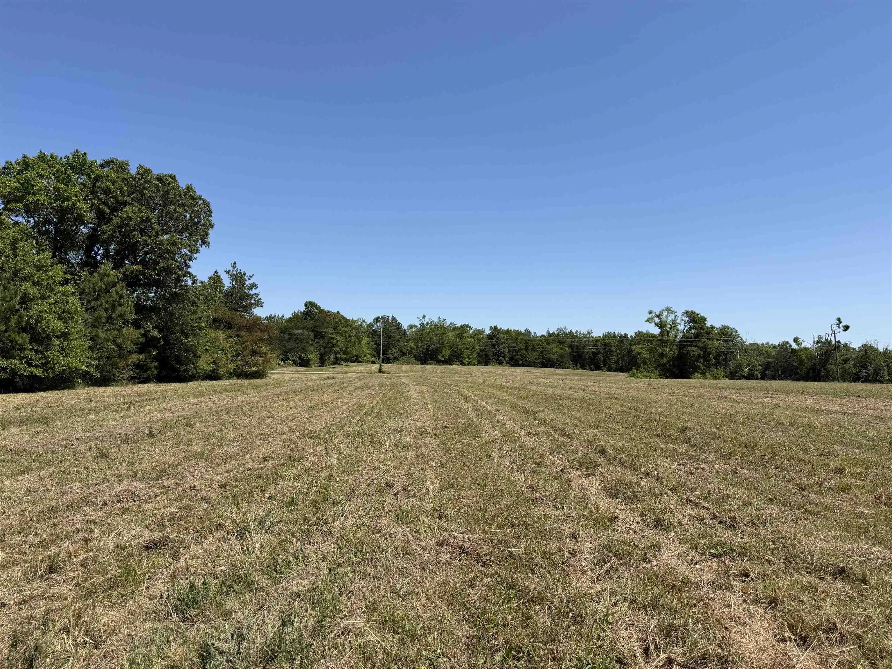 1st image of 5 Bethlehem Rd, Adamsville, TN 38310 | MLS# 10224198