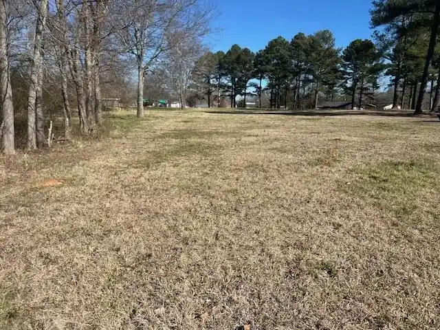 Photo 1 of Land for sale at 00 Black Place/bramblewood Dr, Savannah, TN 38372 | MLS# 10224331 | Listing updated on 2026-08-22