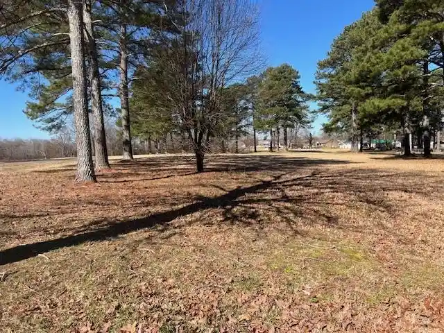 Photo 3 of Land for sale at 00 Black Place/bramblewood Dr, Savannah, TN 38372 | MLS# 10224331 | Listing updated on 2026-08-22