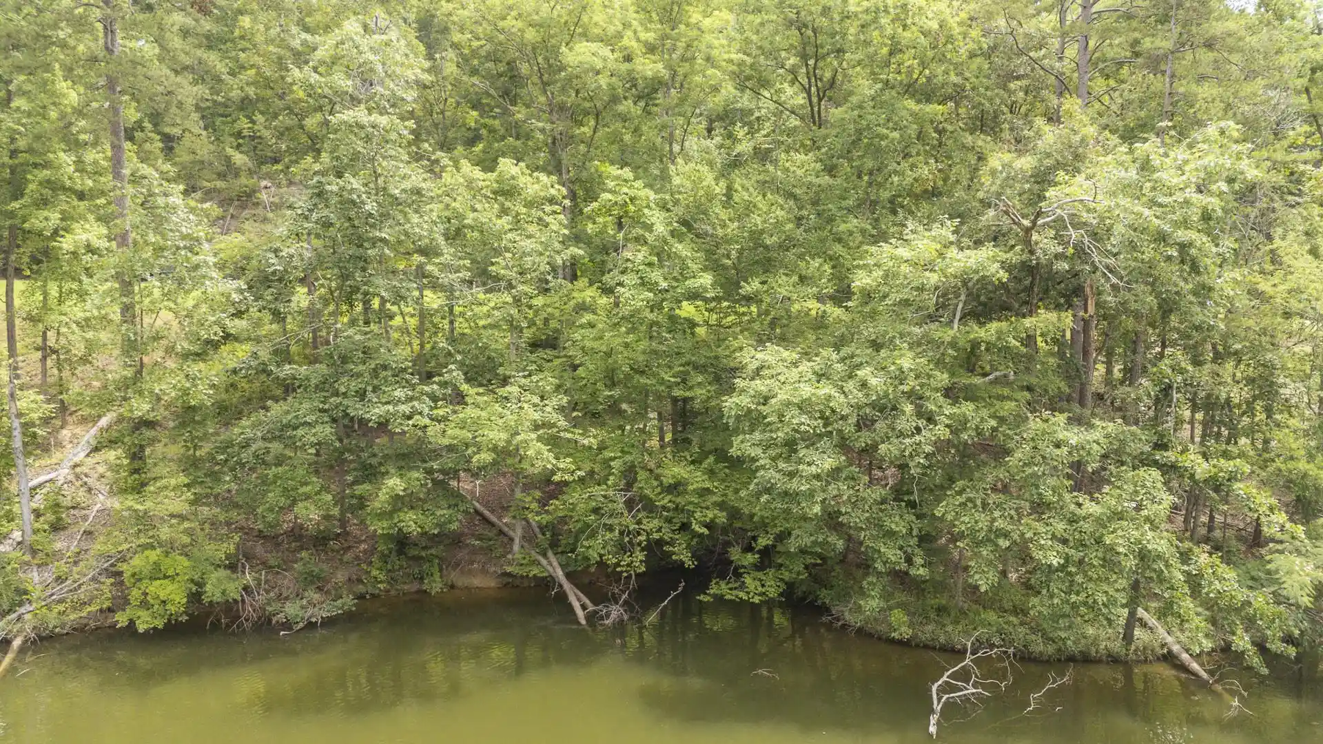 Photo 1 of Land for sale at Lot 181 Arborwood Ln, Savannah, TN 38372 | MLS# 10224484 | Listing updated on 2026-06-21