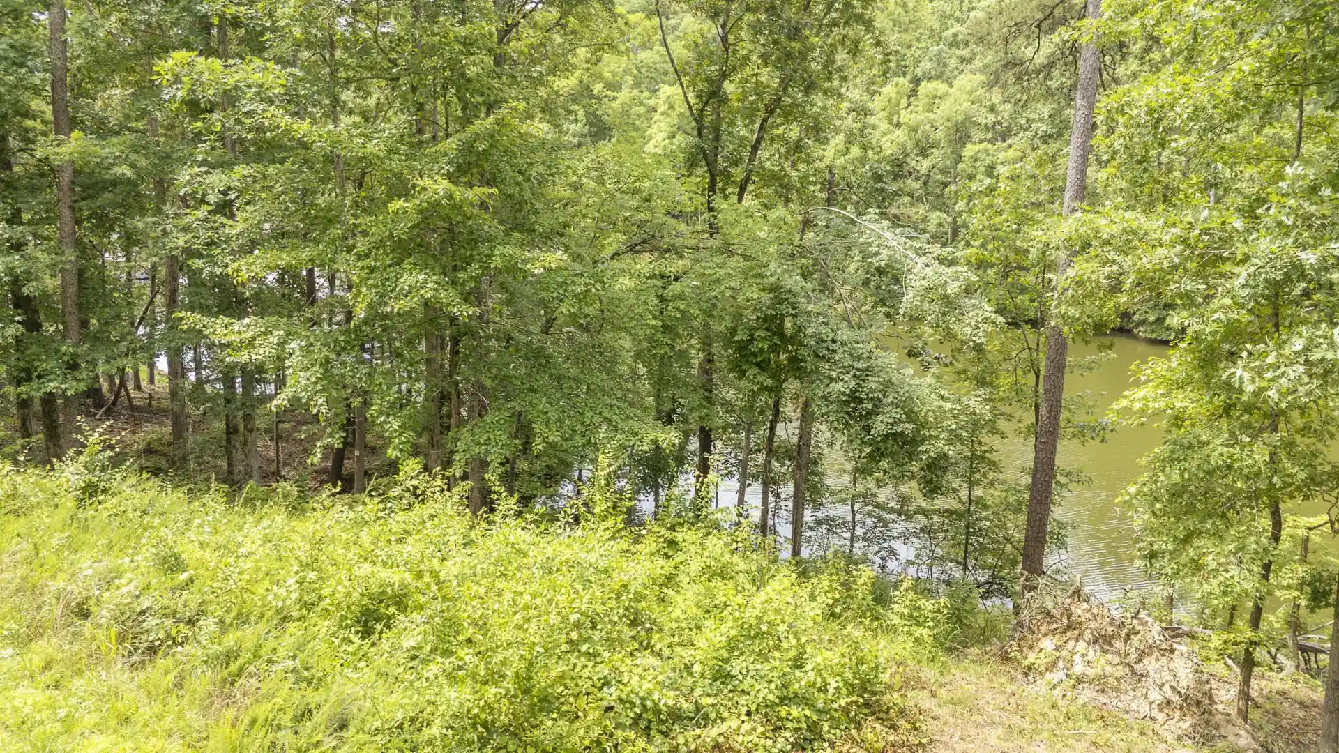 Photo 2 of Land for sale at Lot 181 Arborwood Ln, Savannah, TN 38372 | MLS# 10224484 | Listing updated on 2026-06-21