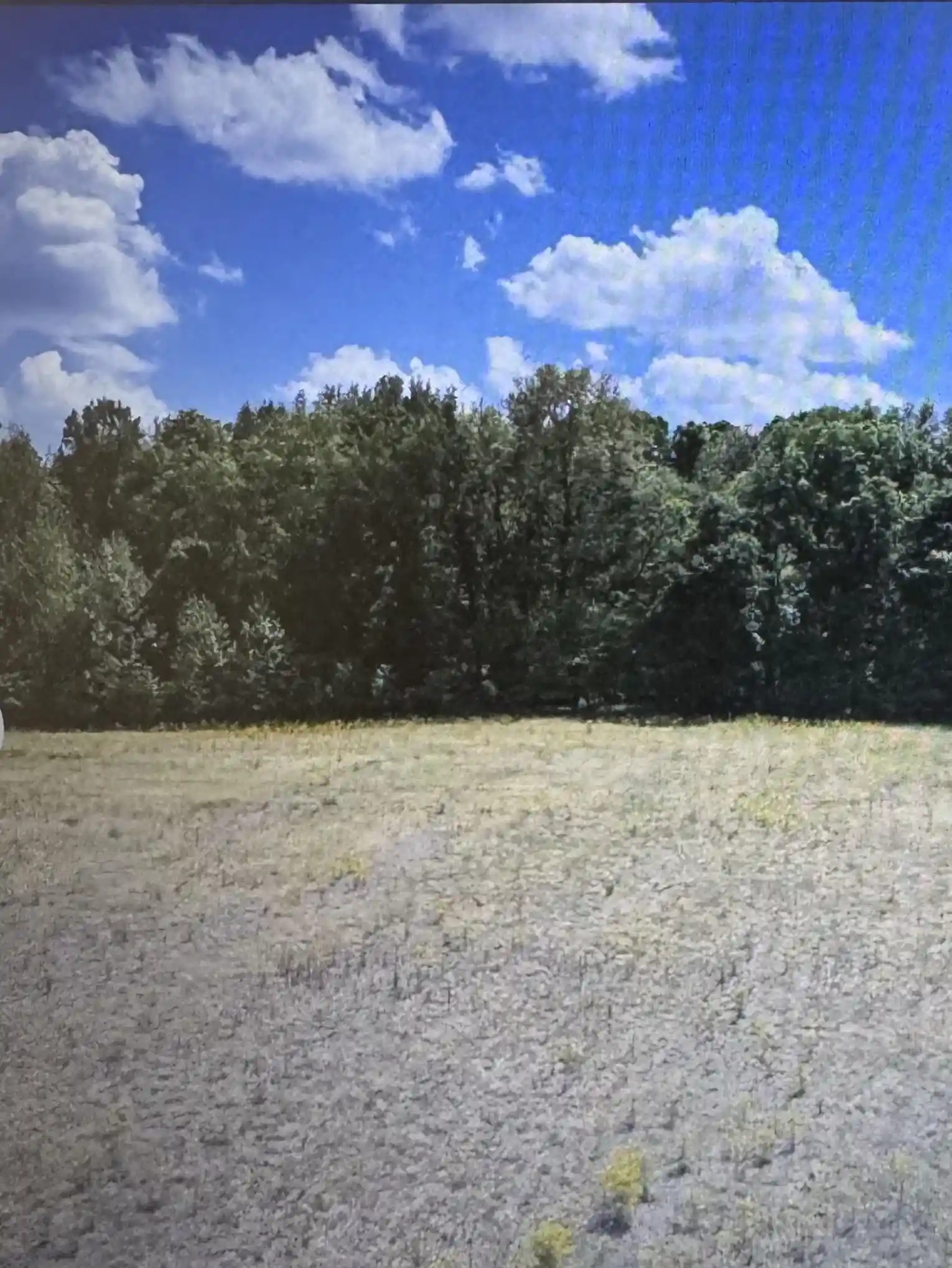 Homes for sale in Whiteville, TN | 980 Murphy Ln, Whiteville, TN 38075 | MLS# 10224493