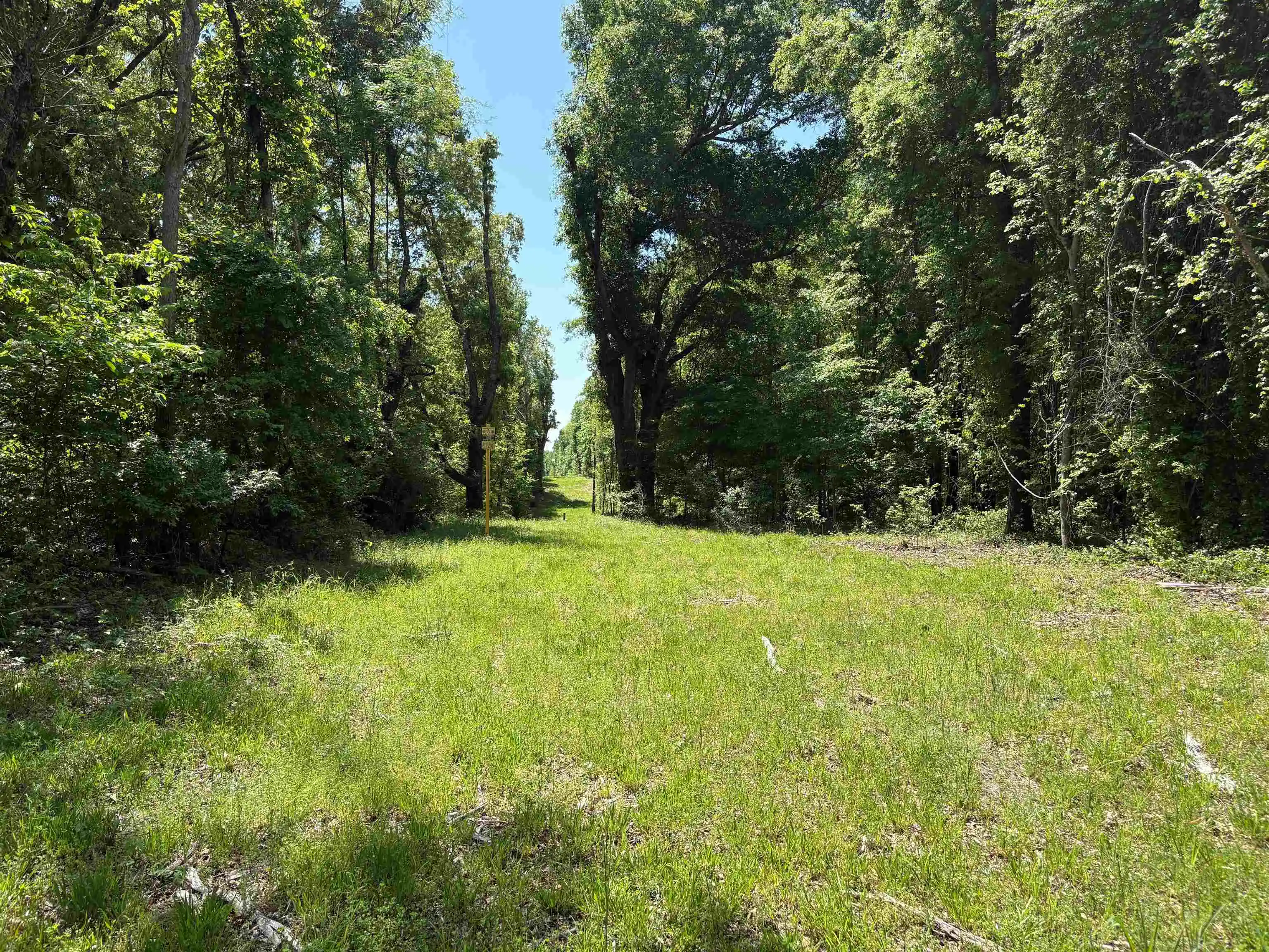Homes for sale in Arlington, TN | 0 N Osborntown Rd #Tract 2 - 30 Acres, Arlington, TN 38002 | MLS# 10224533