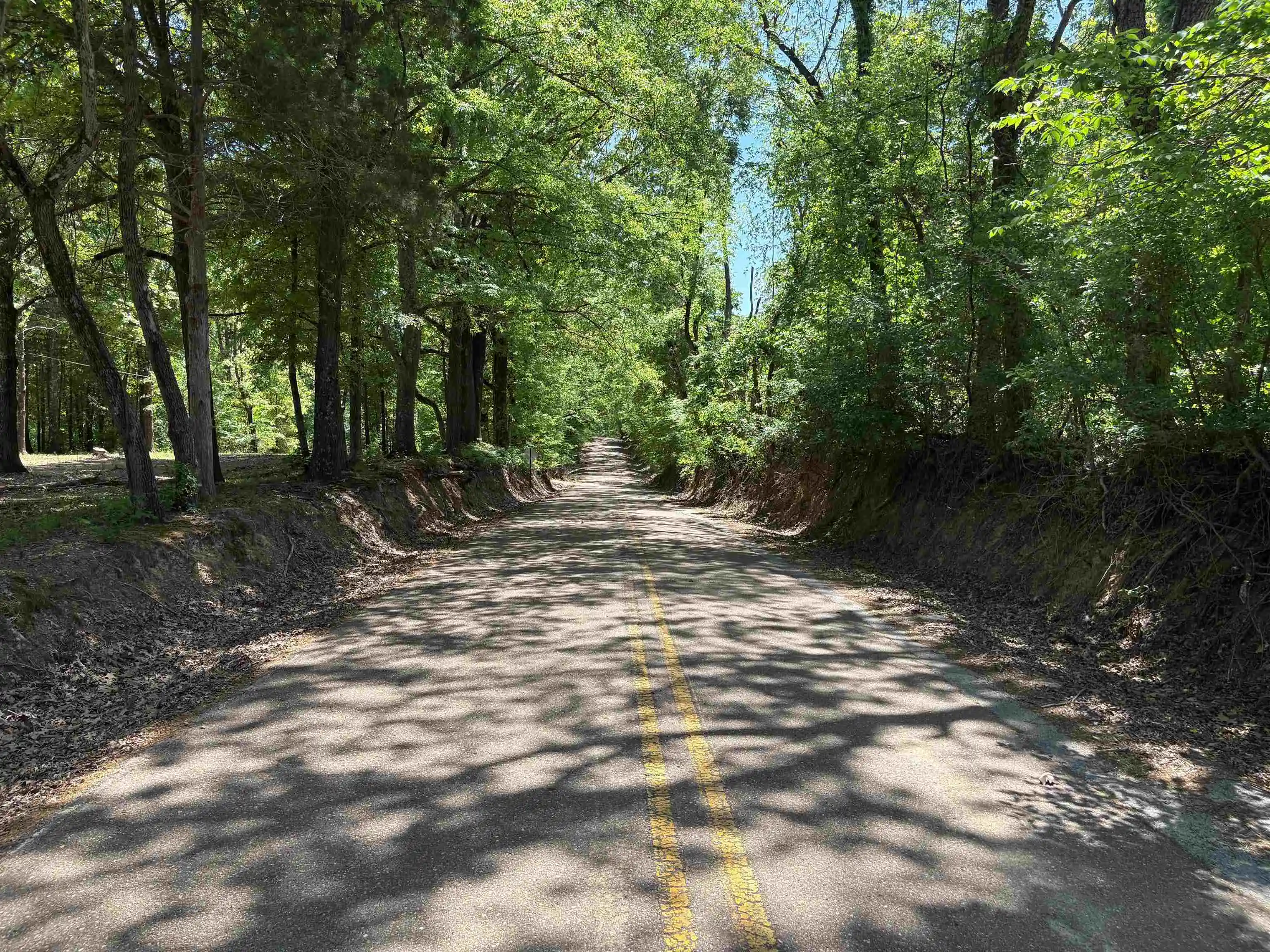 Homes for sale in Arlington, TN | 0 N Osborntown Rd #Tract 2 - 30 Acres, Arlington, TN 38002 | MLS# 10224533