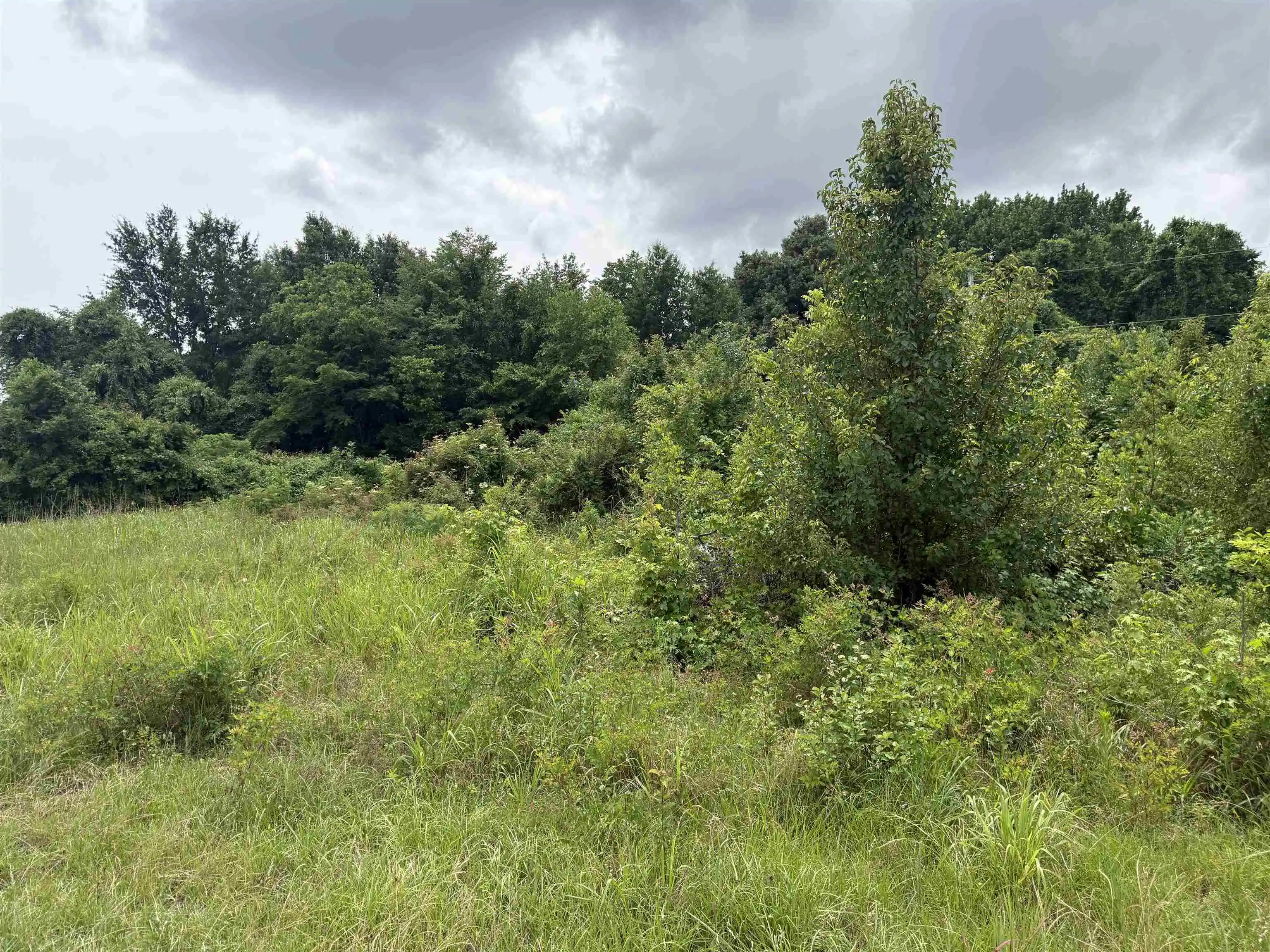 Photo 3 of Land for sale at 0 Wilson Rd, Memphis, TN 38116 | MLS# 10224554 | Listing updated on 2026-06-23