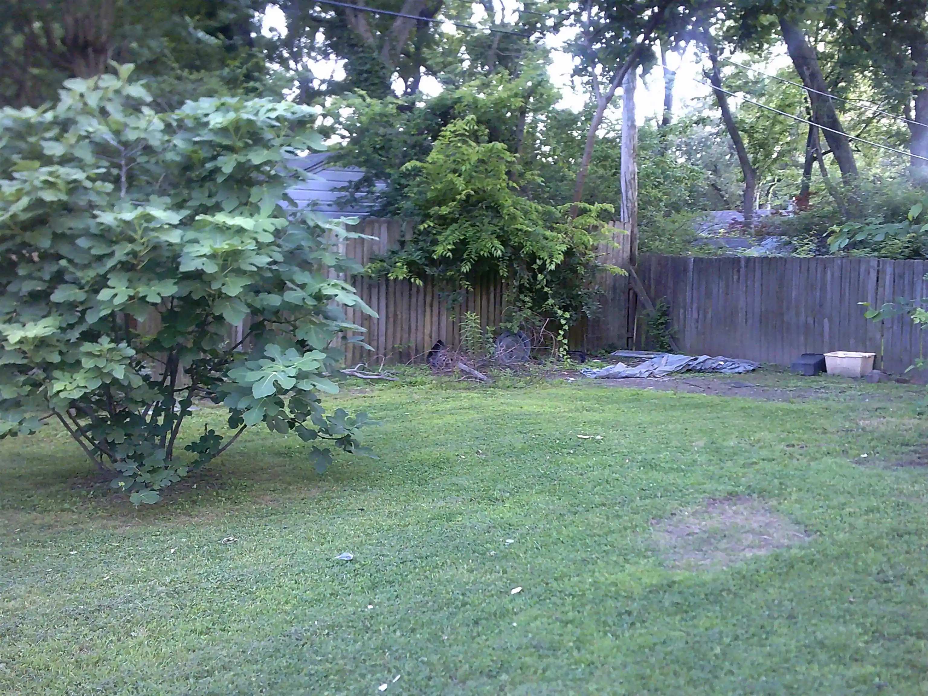 Photo 4 of Single family home for sale at 3545 Kearney St, Memphis, TN 38111 | MLS# 10224556 | Listing updated on 2026-09-10