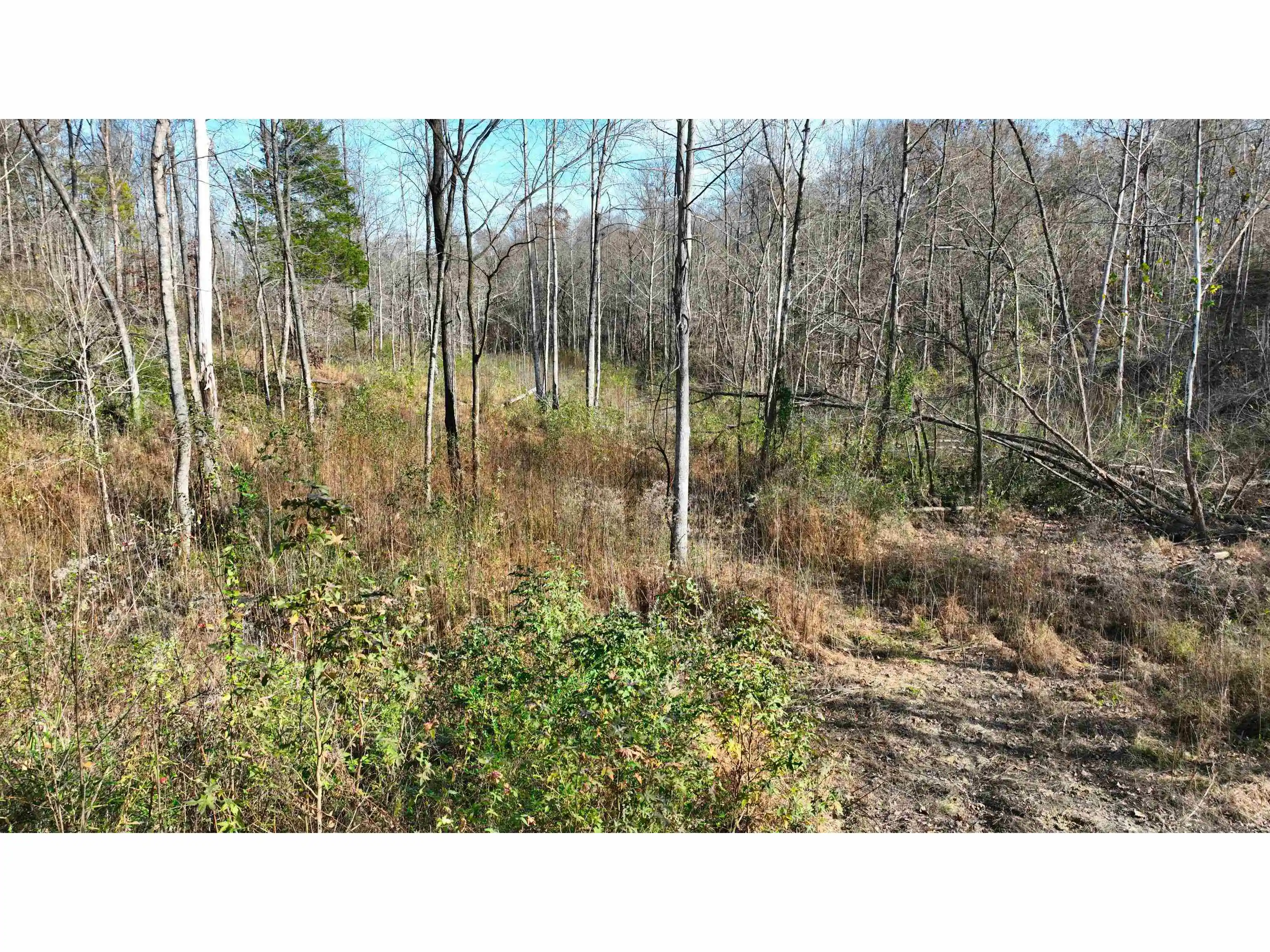 2nd image of Munford Giltedge Rd, Burlison, TN 38015 | MLS# 10224682