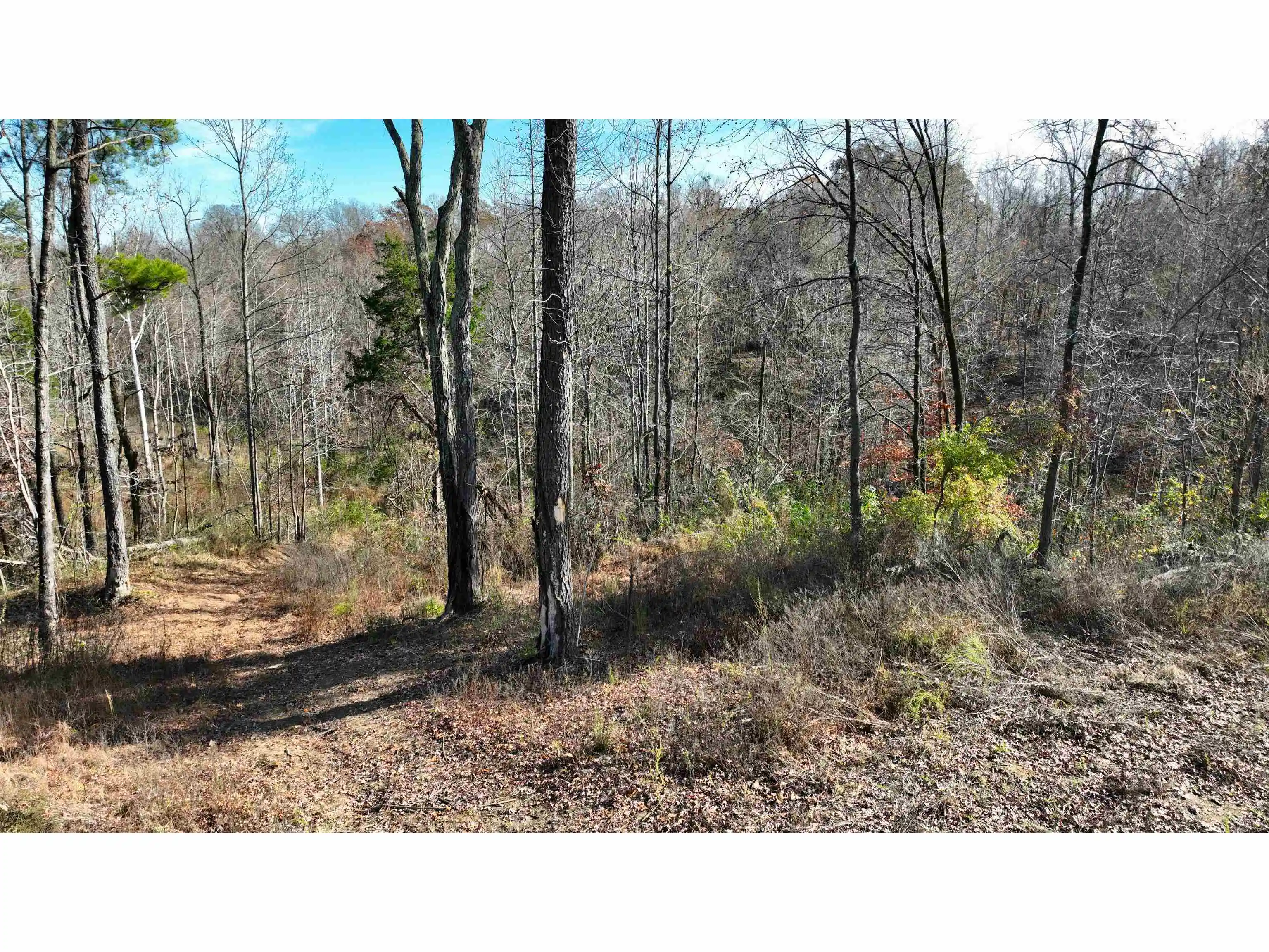 16th image of Munford Giltedge Rd, Burlison, TN 38015 | MLS# 10224682