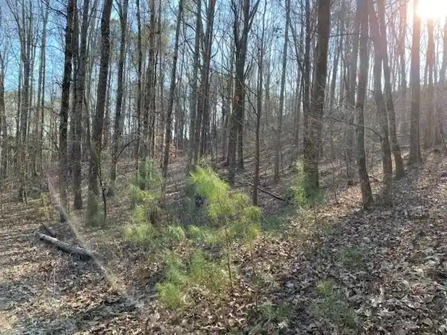 Photo 2 of Land for sale at 3595 Northshore Dr, Savannah, TN 38372 | MLS# 10224684 | Listing updated on 2026-06-25