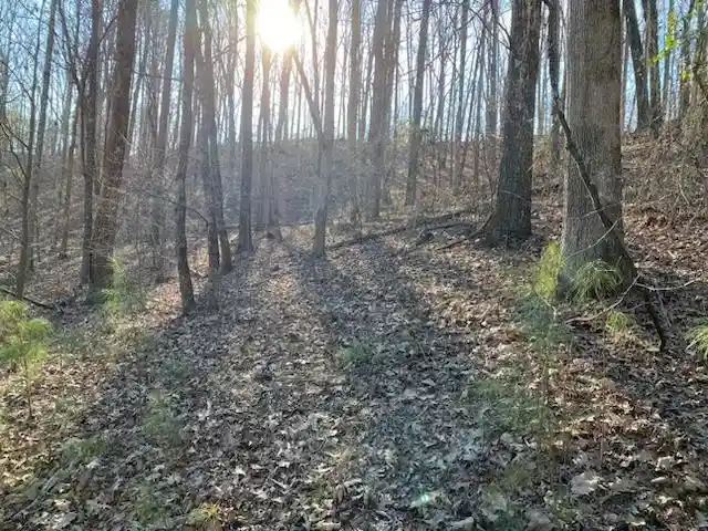 Photo 3 of Land for sale at 3595 Northshore Dr, Savannah, TN 38372 | MLS# 10224684 | Listing updated on 2026-06-25