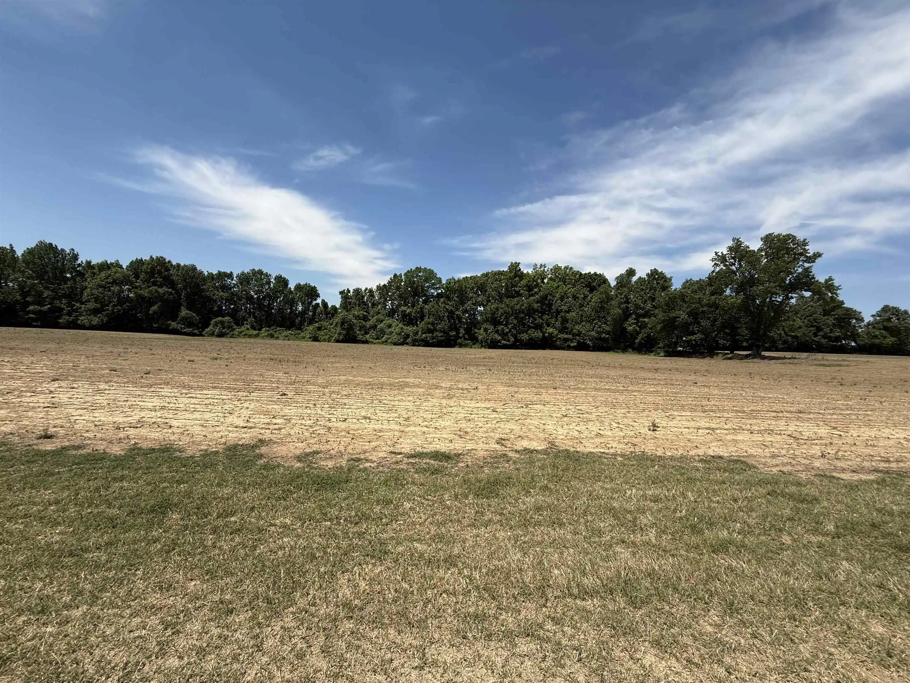 2nd image of 8716 Mudville Dr, Atoka, TN 38004 | MLS# 10224933