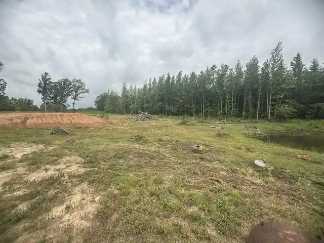 Homes for sale in Morris Chapel, TN | 31880 Hwy 69 Hwy, Morris Chapel, TN 38361 | MLS# 10224971