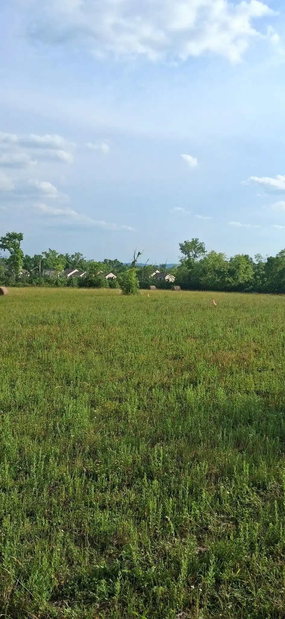 Photo 2 of Land for sale at 1325 Bellshire Dr, Nashville, TN 37116 | MLS# 10225004 | Listing updated on 2026-09-01