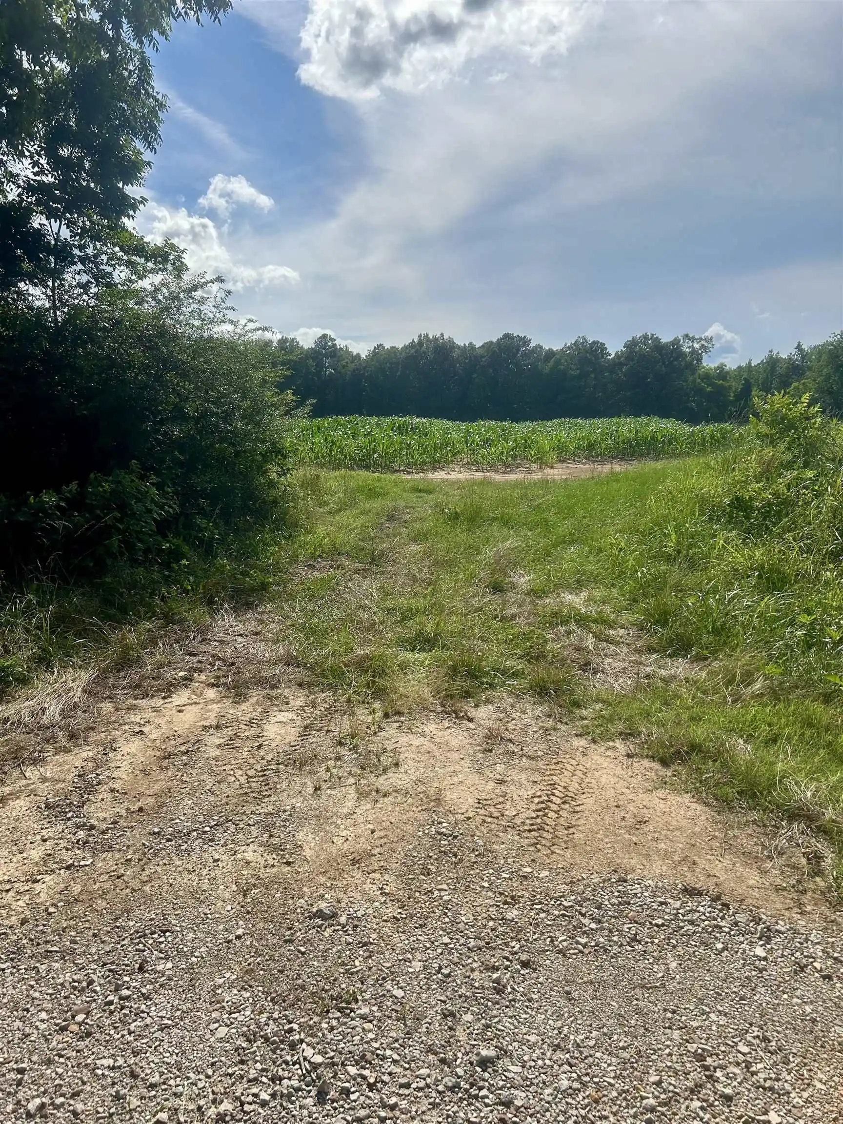 Homes for sale in Hickory Valley, TN | 00 Van Buren Rd Rd, Hickory Valley, TN 38042 | MLS# 10225029
