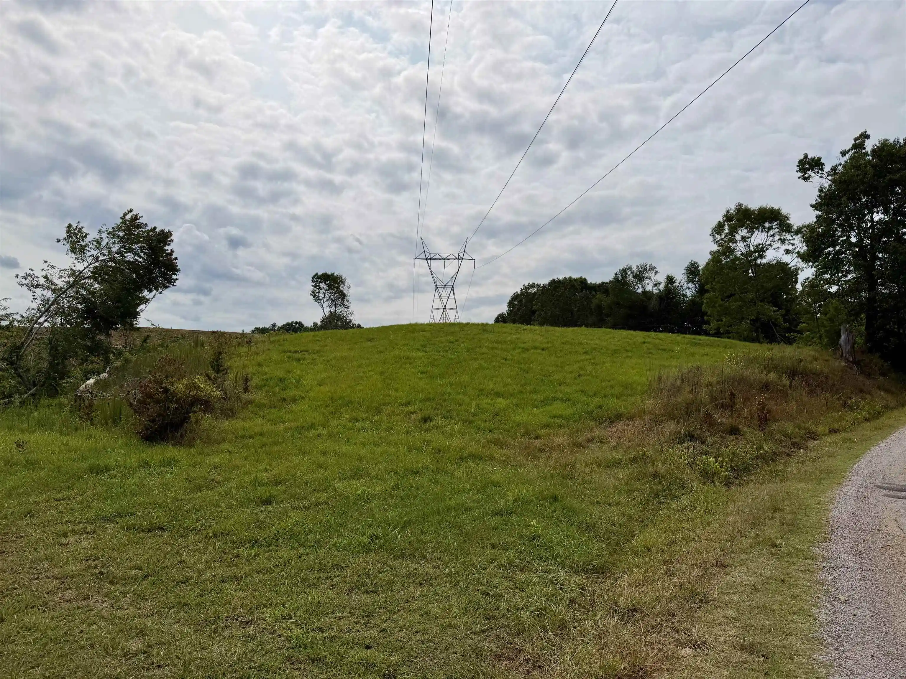 Homes for sale in Selmer, TN | 0 Dee Moore Rd, Selmer, TN 38375 | MLS# 10225095