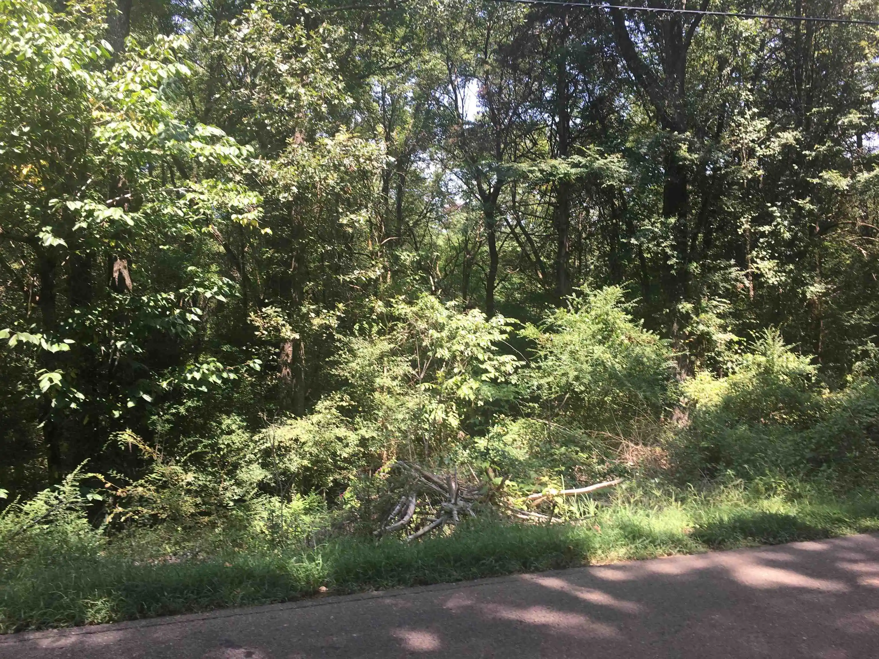 1st image of 3837 Canada Rd, Arlington, TN 38002 | MLS# 10225165