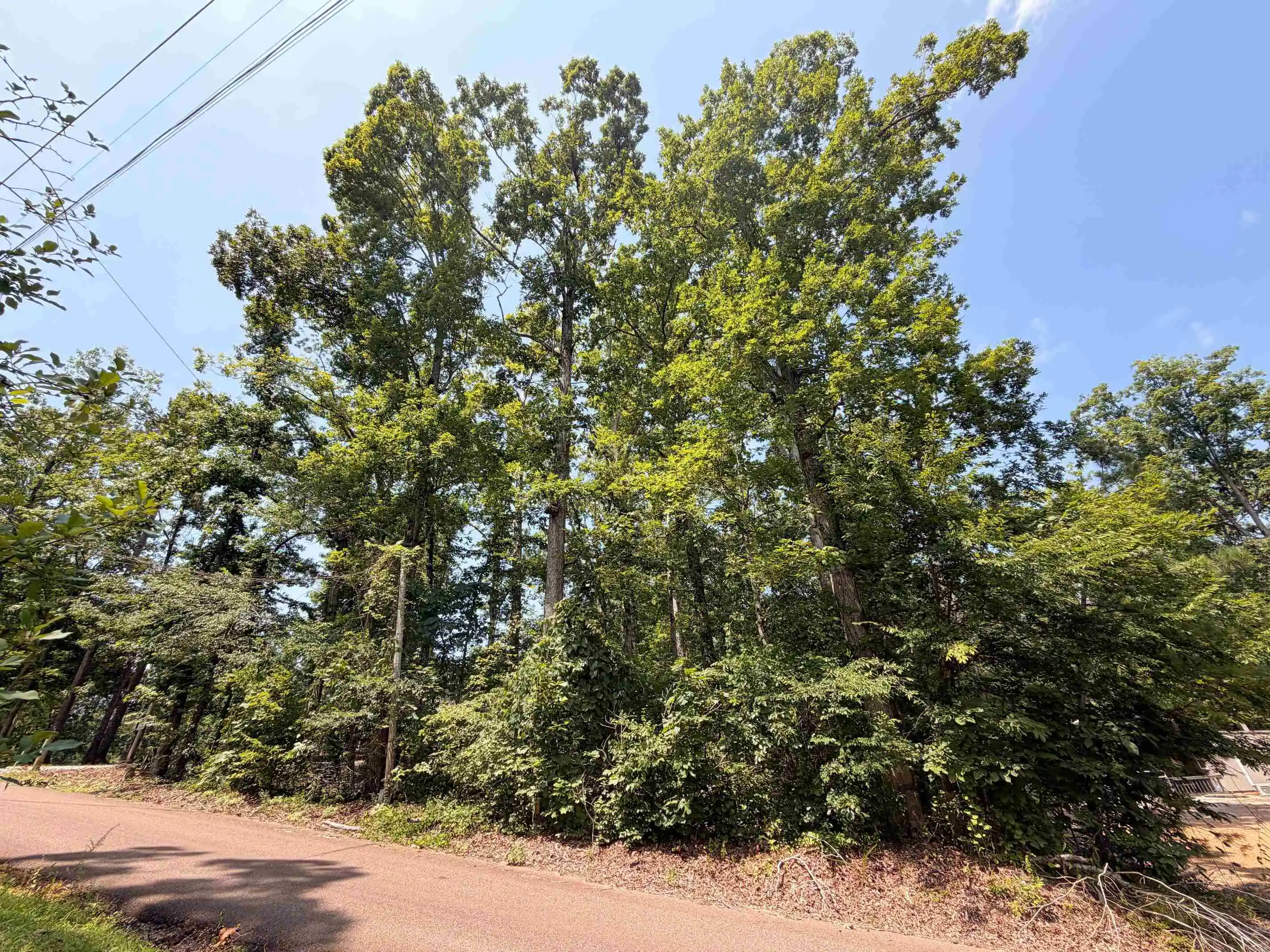 Homes for sale in Counce, TN | 0 Yellow Creek Ln, Counce, TN 38326 | MLS# 10225344