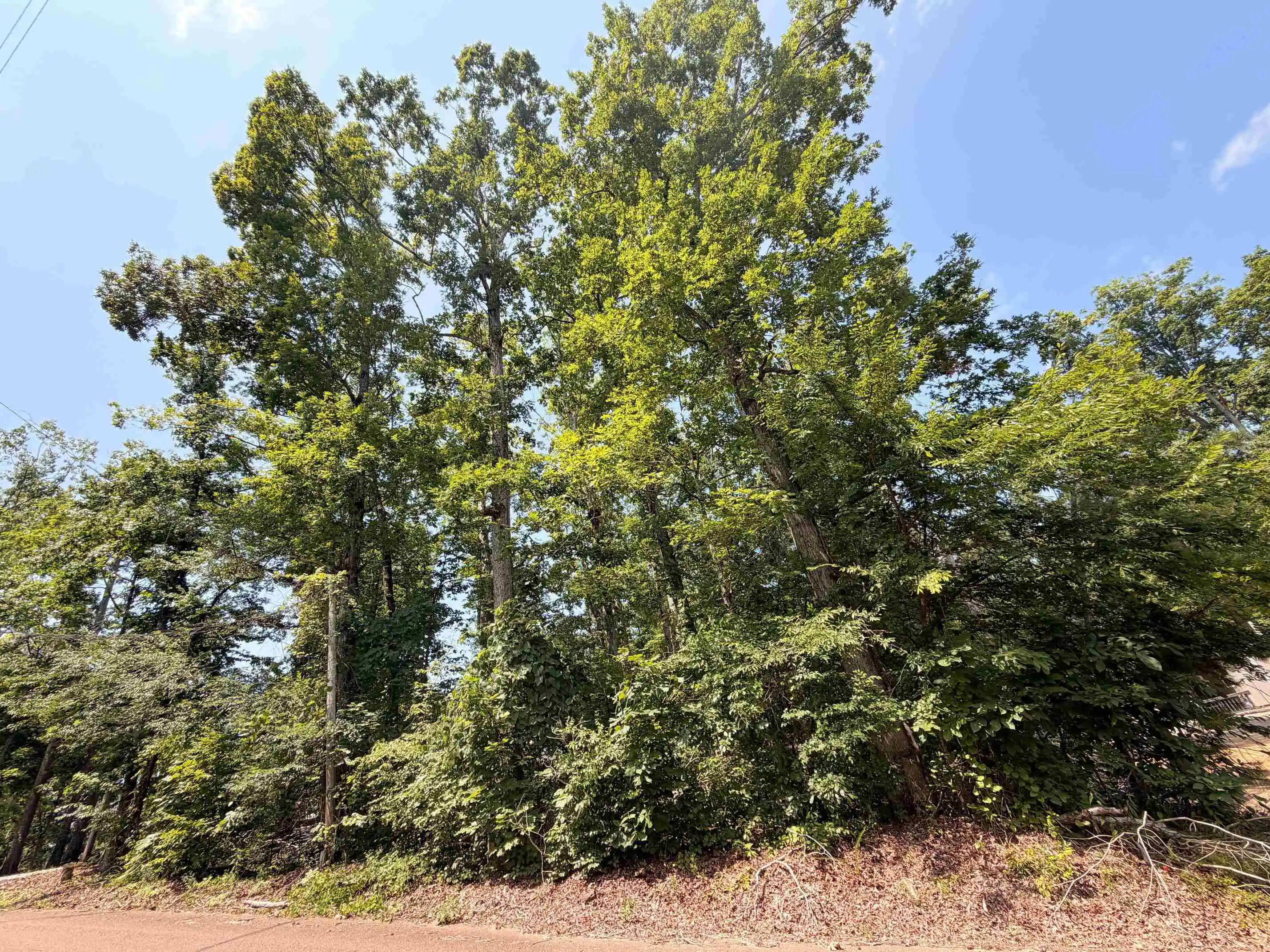 Homes for sale in Counce, TN | 0 Yellow Creek Ln, Counce, TN 38326 | MLS# 10225344