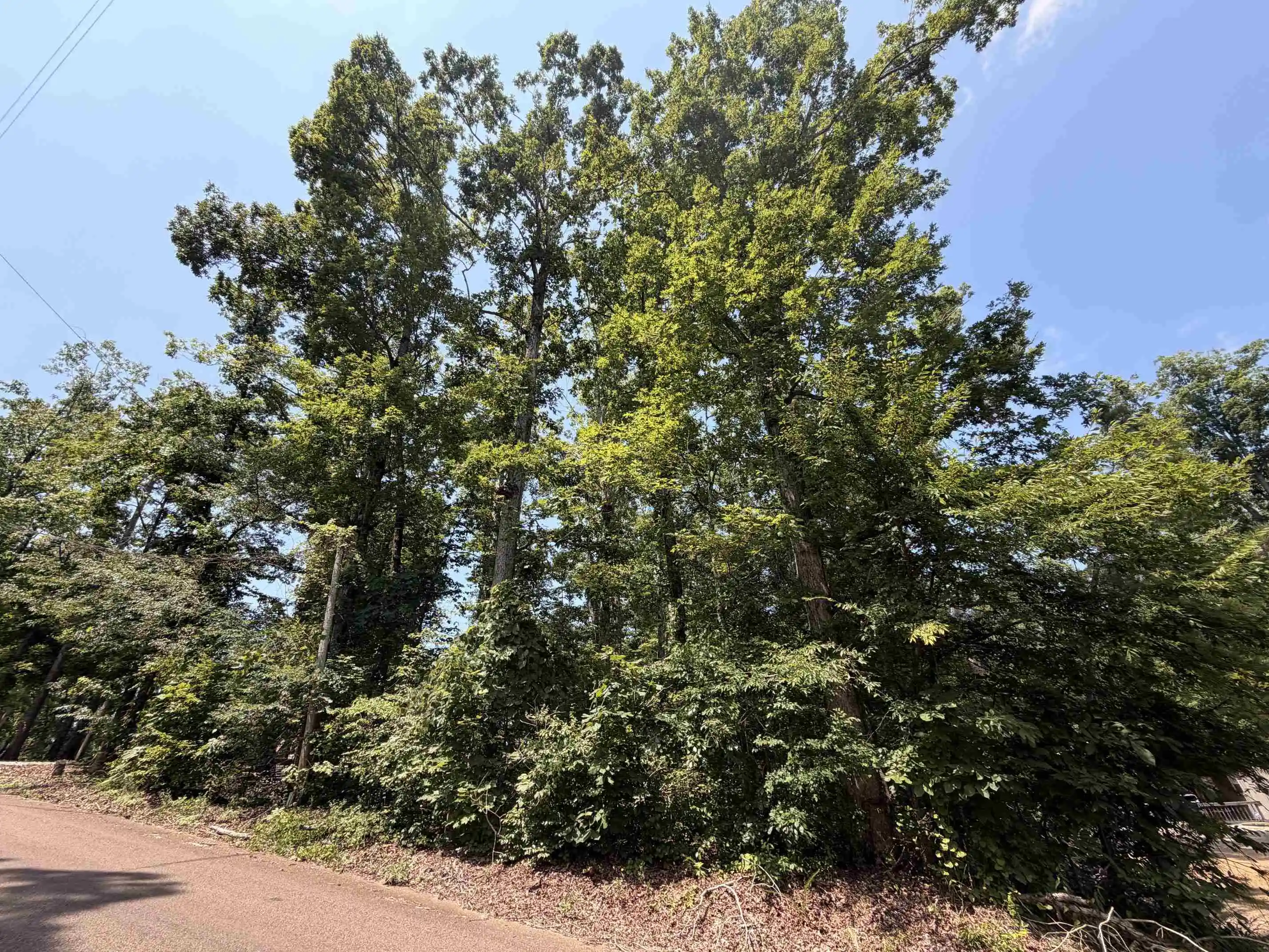 Homes for sale in Counce, TN | 0 Yellow Creek Ln, Counce, TN 38326 | MLS# 10225344