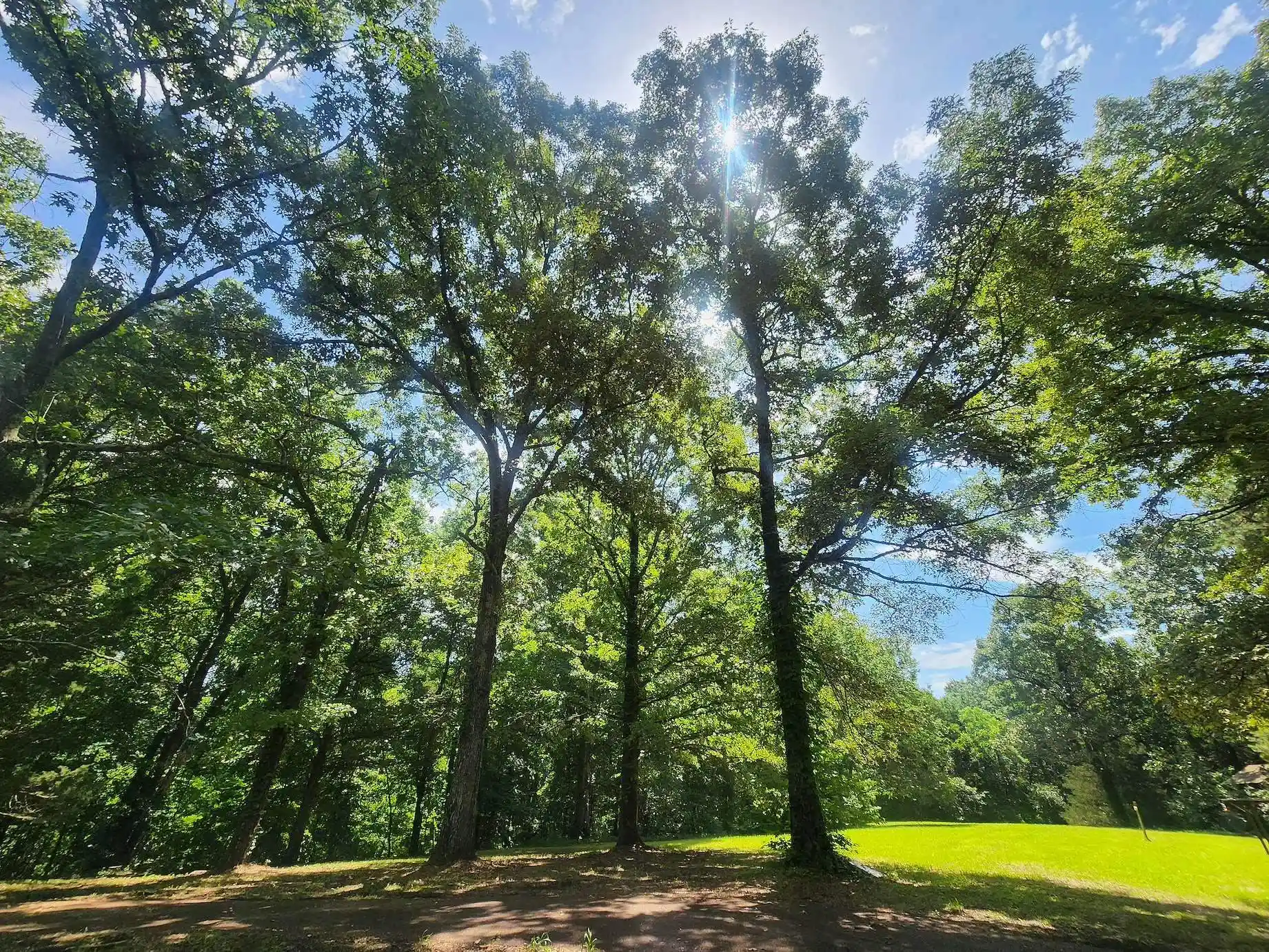 2nd image of 205 Van Buren Ln, Saulsbury, TN 38067 | MLS# 10225357