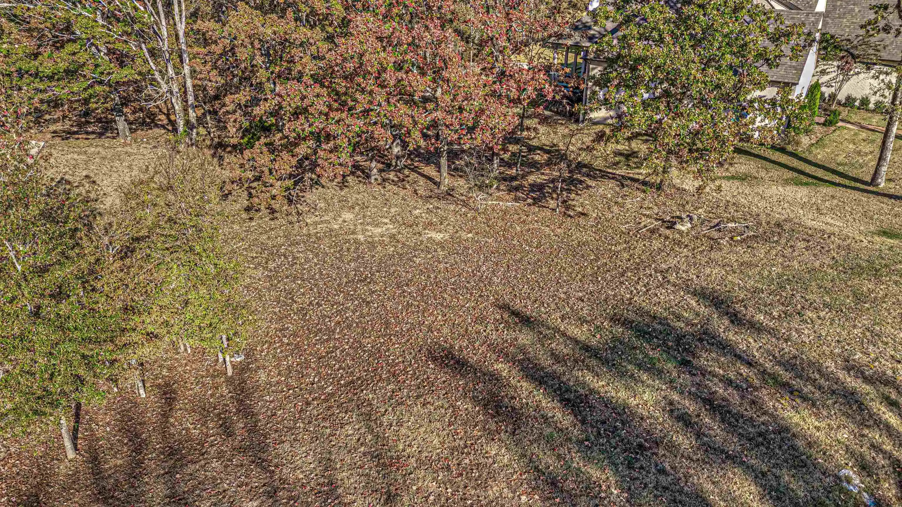 Photo 3 of Land for sale at 12668 Bravo Rd, Collierville, TN 38017 | MLS# 10225370 | Listing updated on 2026-07-03