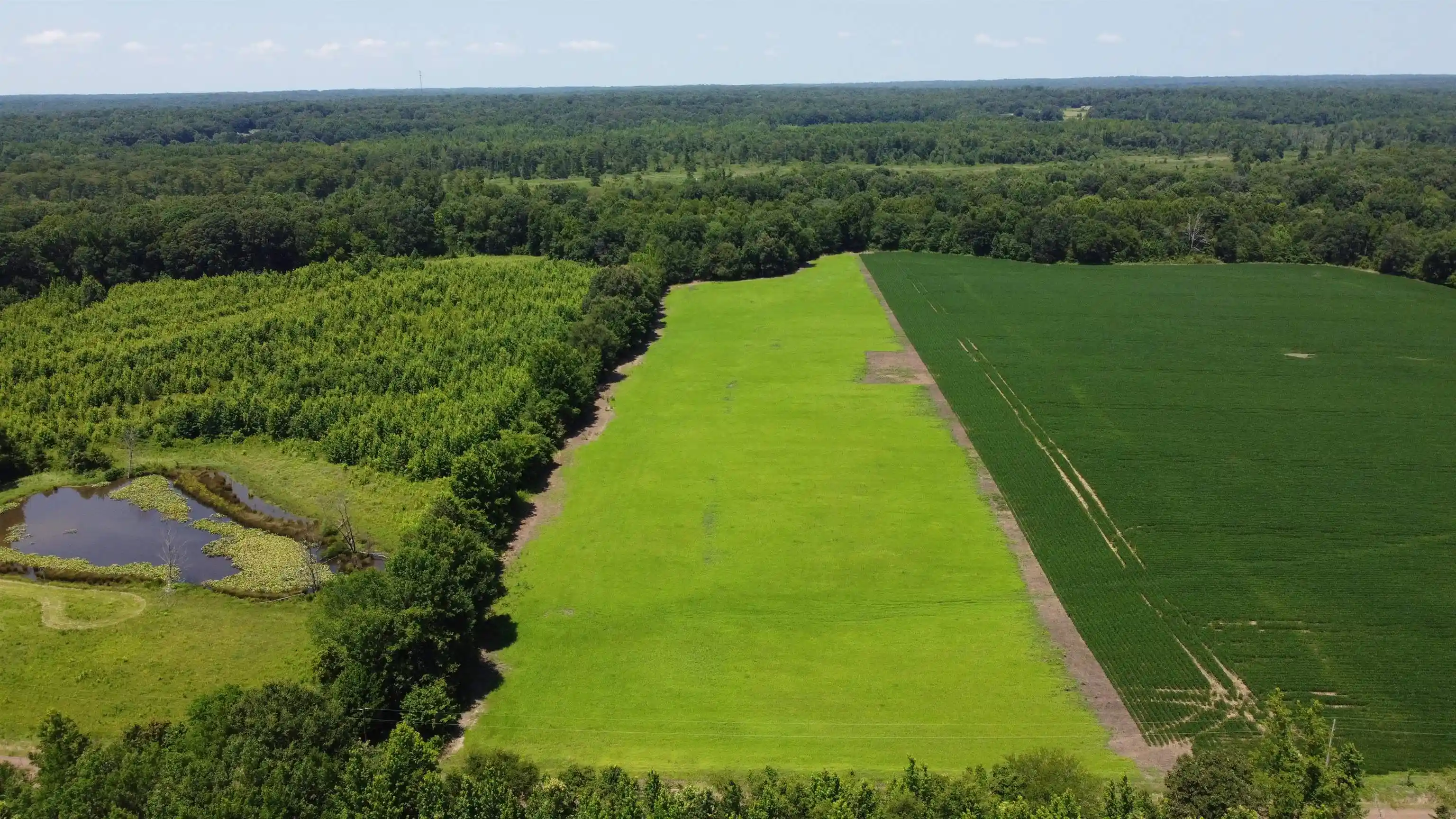 Homes for sale in Moscow, TN | 20 Acres Liberty Rd, Moscow, TN 38057 | MLS# 10225573