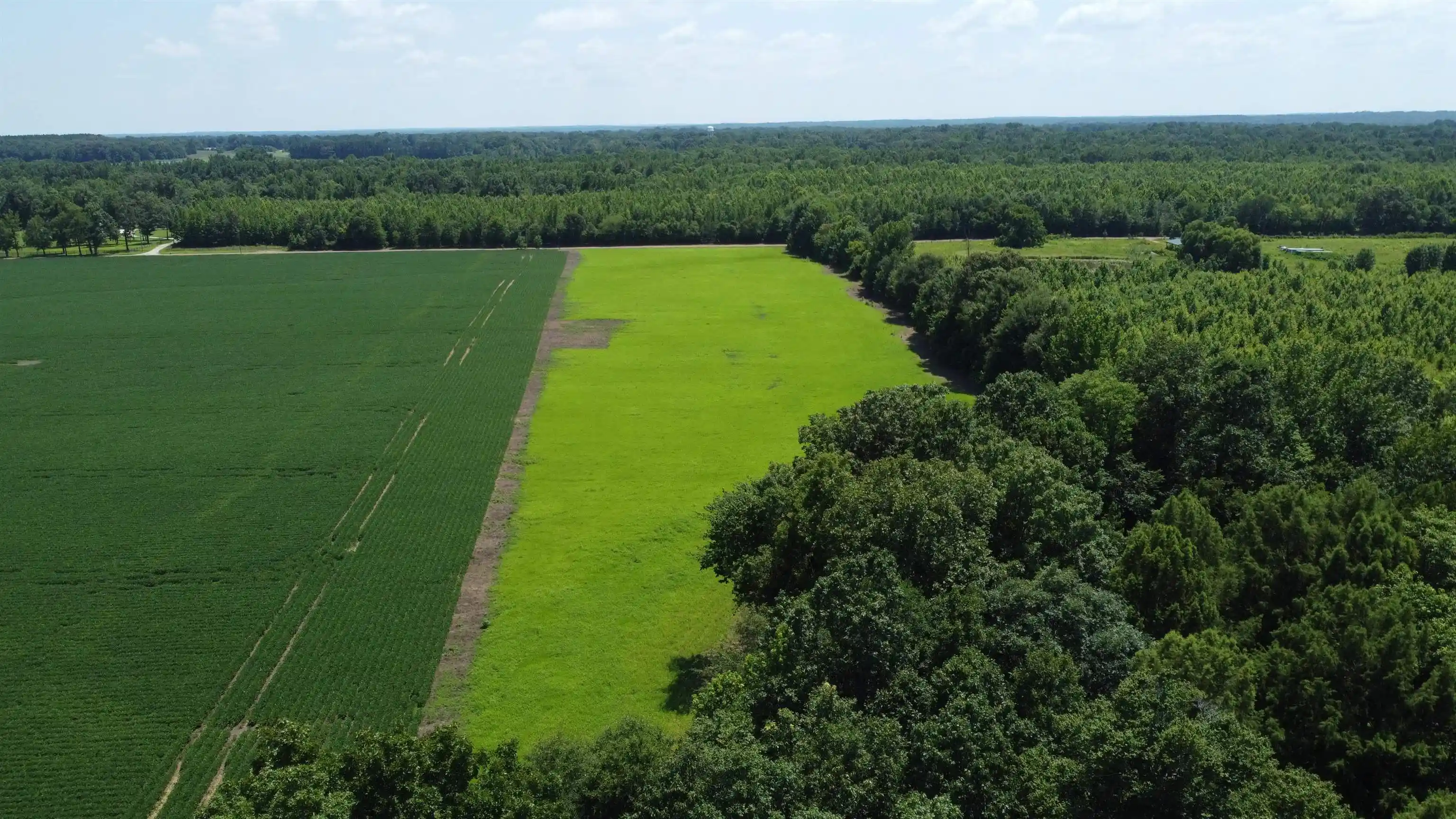 Homes for sale in Moscow, TN | 20 Acres Liberty Rd, Moscow, TN 38057 | MLS# 10225573