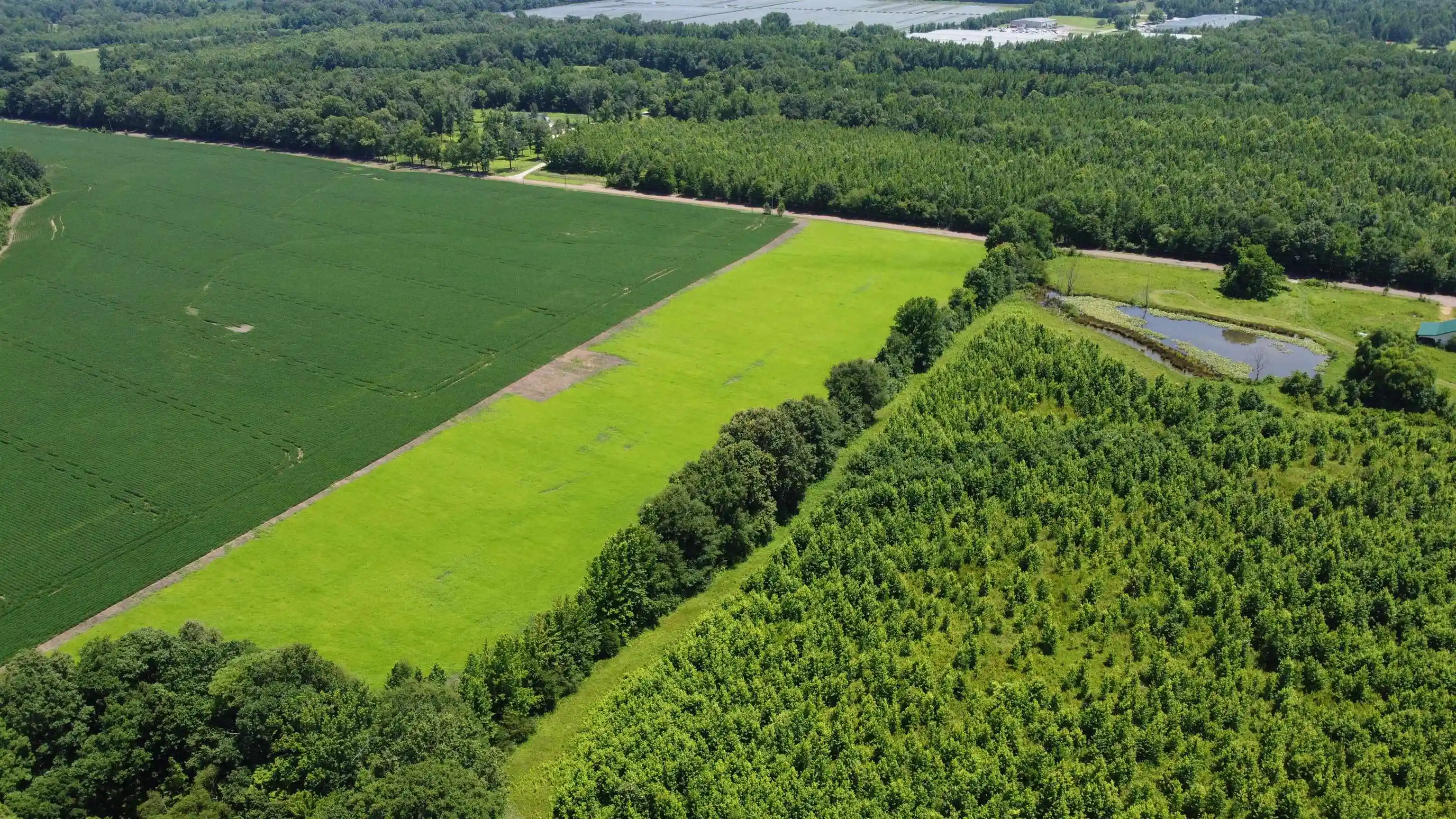 Homes for sale in Moscow, TN | 20 Acres Liberty Rd, Moscow, TN 38057 | MLS# 10225573