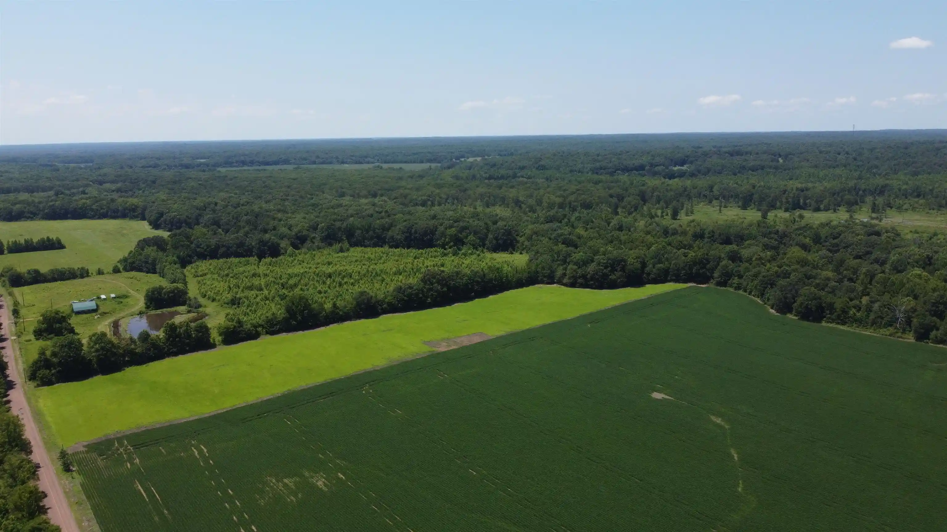 Homes for sale in Moscow, TN | 20 Acres Liberty Rd, Moscow, TN 38057 | MLS# 10225573