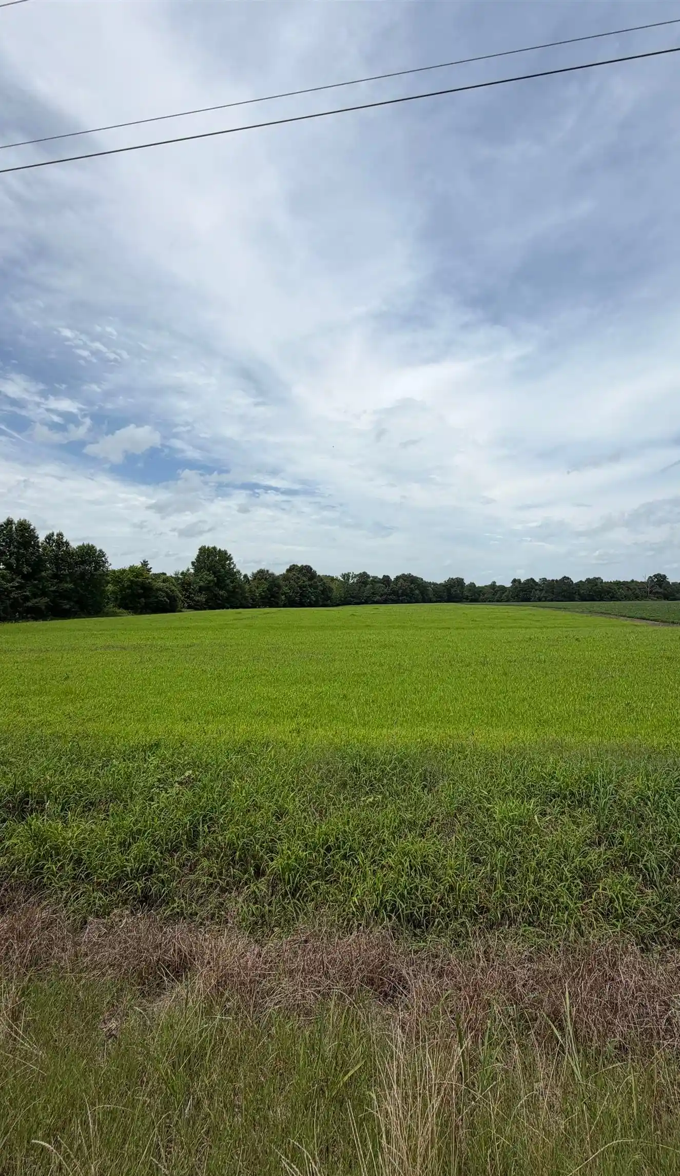 Homes for sale in Moscow, TN | 20 Acres Liberty Rd, Moscow, TN 38057 | MLS# 10225573