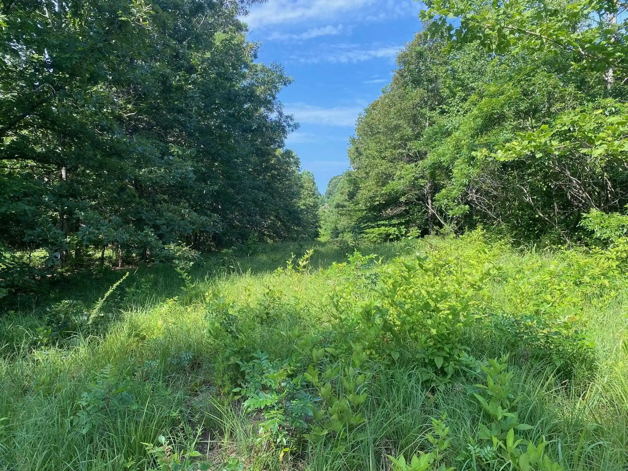 1st image of Sel Brooks Ln, Bethel Springs, TN 38315 | MLS# 10225705