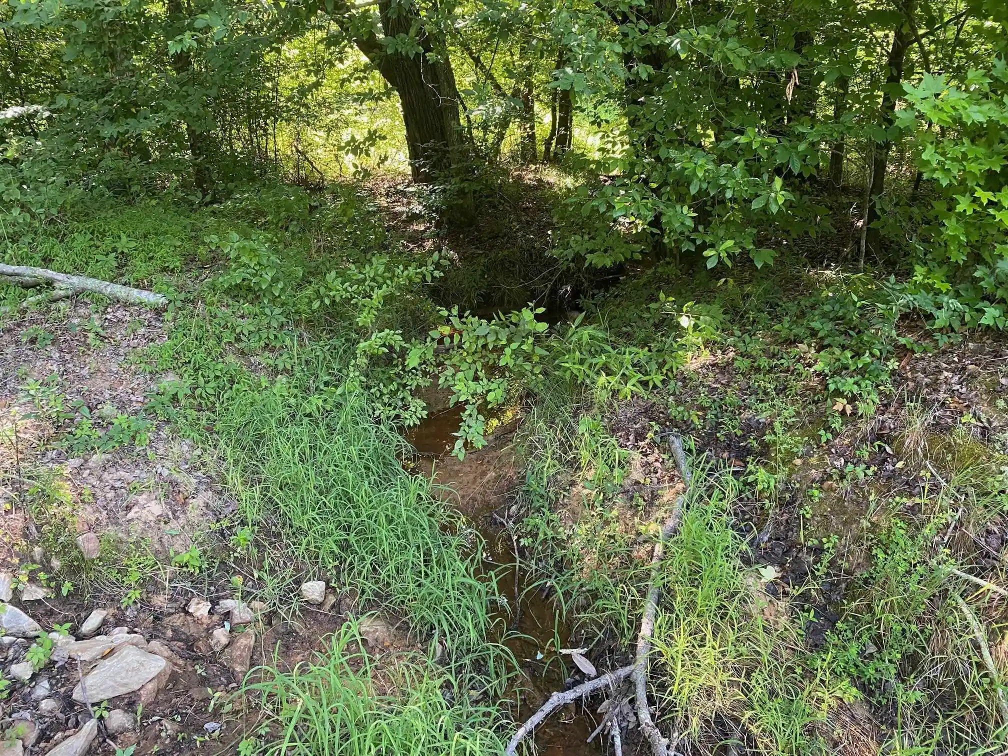 2nd image of Sel Brooks Ln, Bethel Springs, TN 38315 | MLS# 10225705