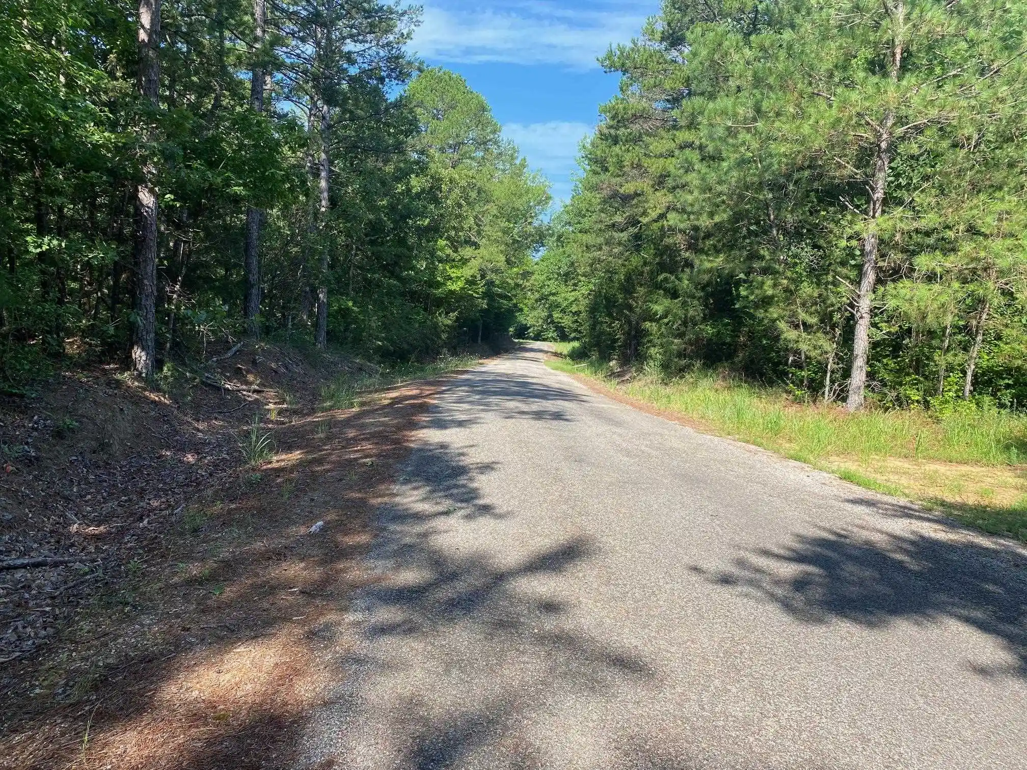 3rd image of Sel Brooks Ln, Bethel Springs, TN 38315 | MLS# 10225705