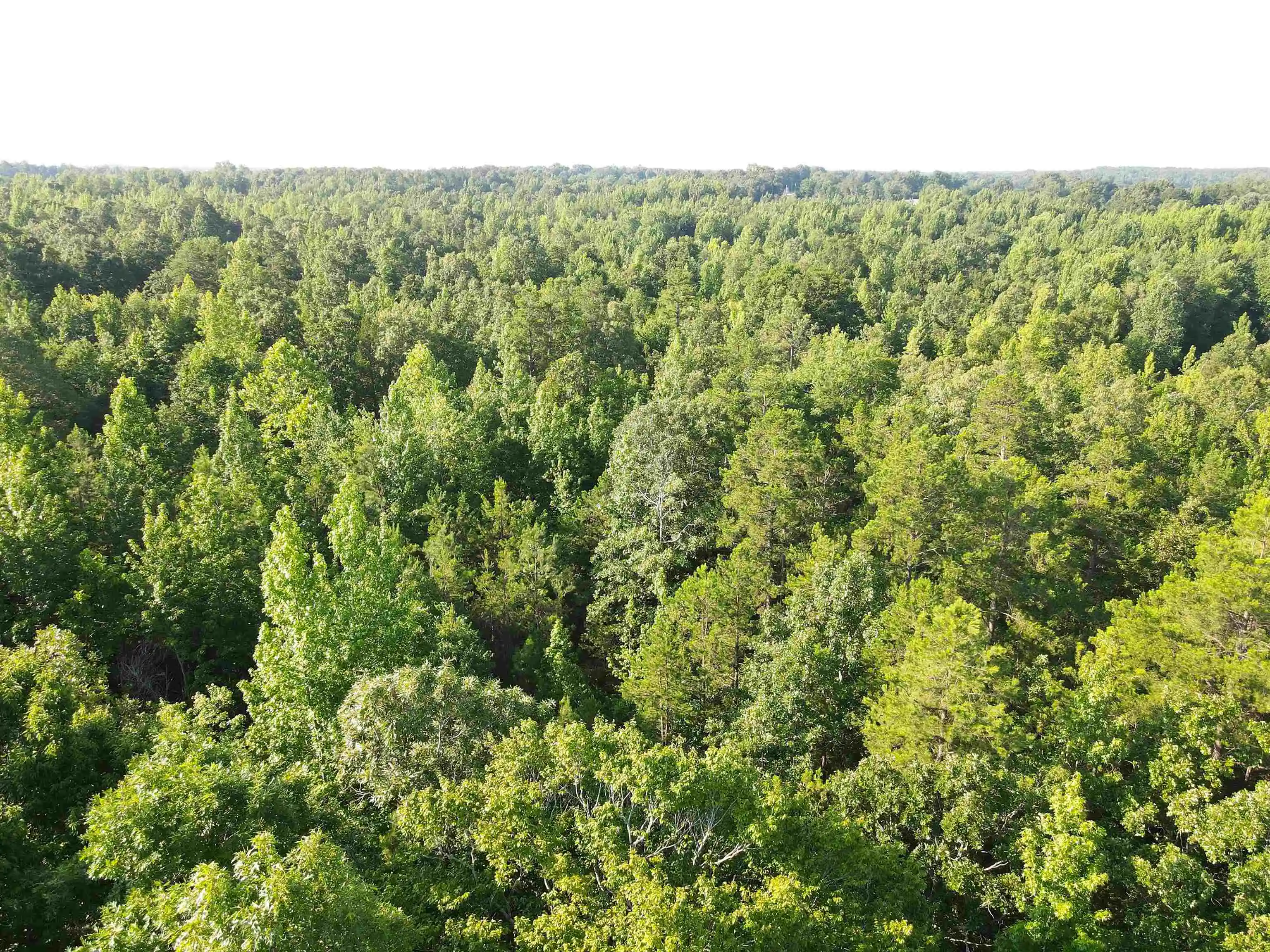 5th image of Sel Brooks Ln, Bethel Springs, TN 38315 | MLS# 10225705
