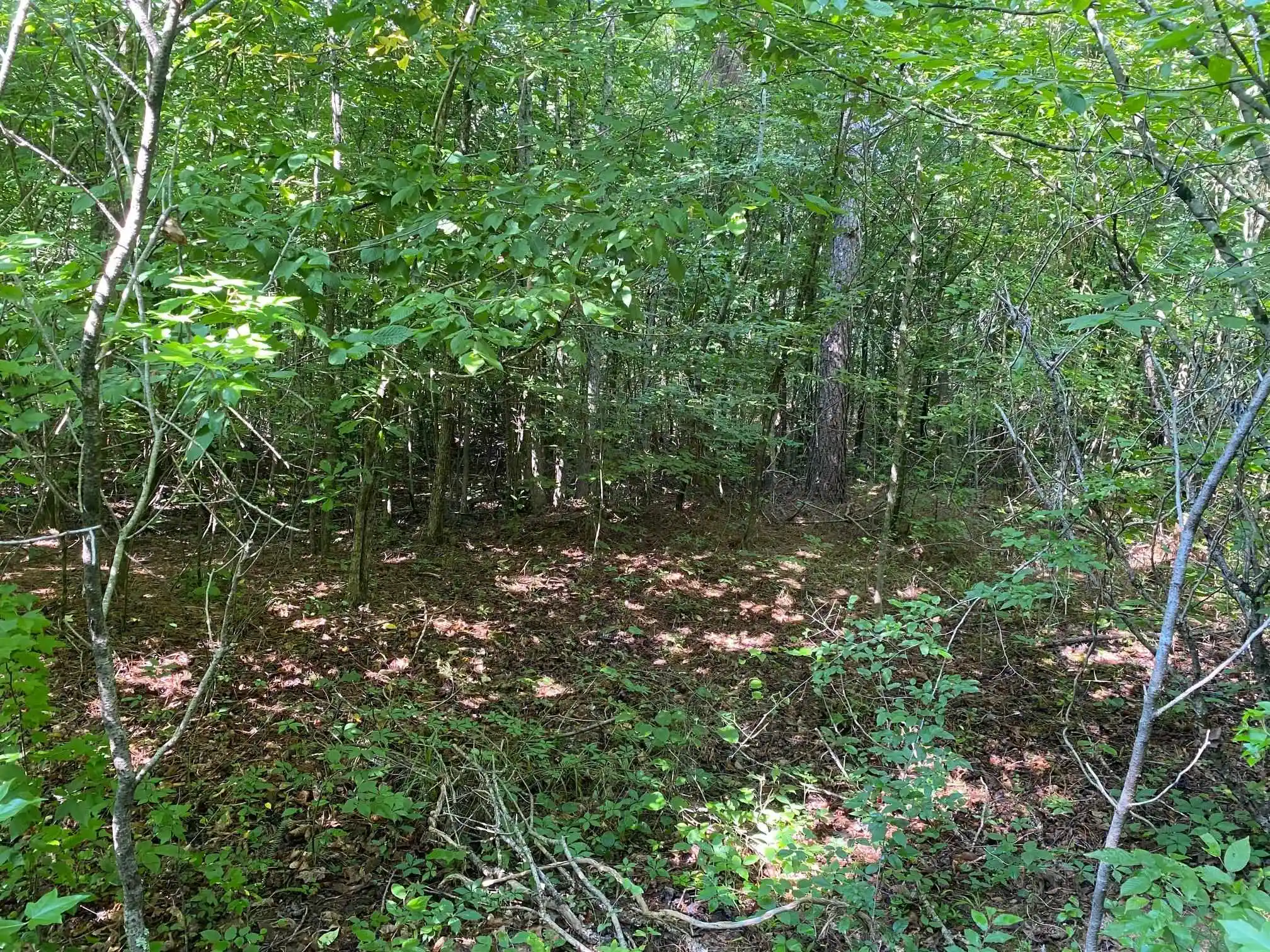 12th image of Sel Brooks Ln, Bethel Springs, TN 38315 | MLS# 10225705