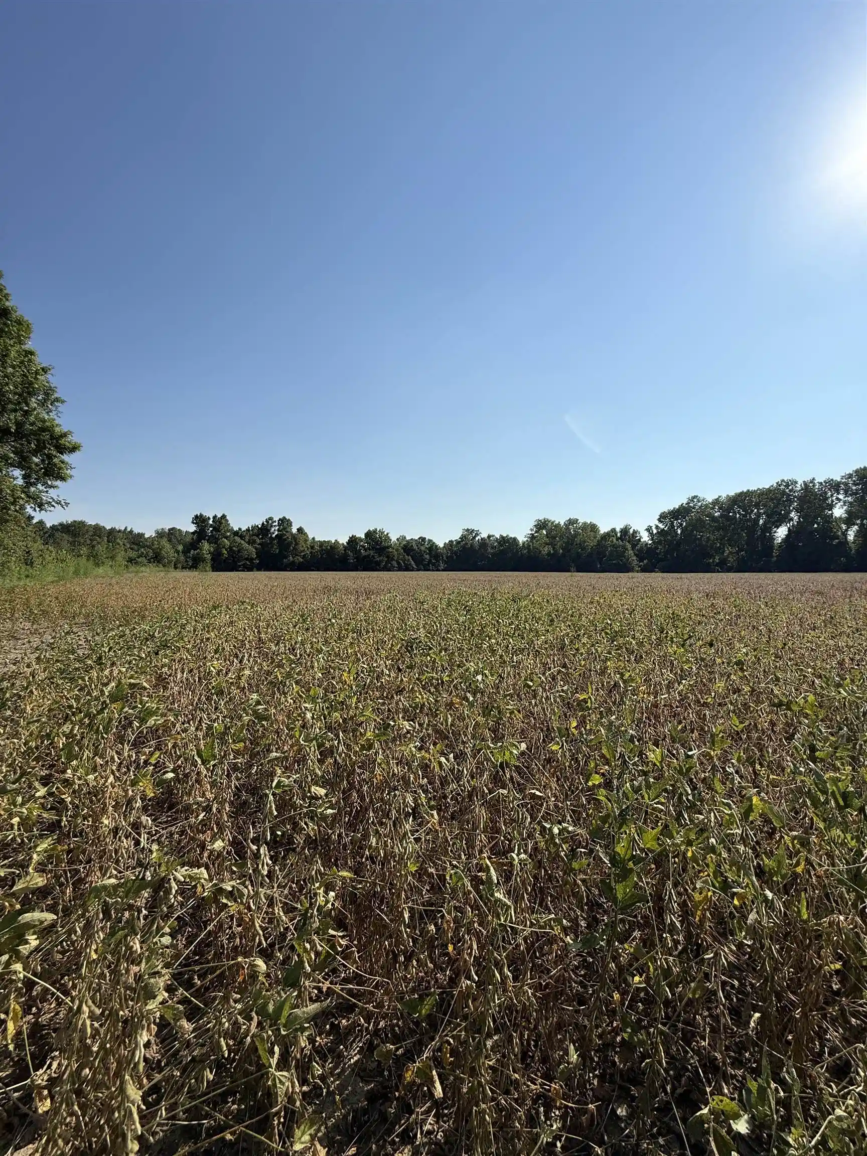 2nd image of 0 Sledge Dr, Millington, TN 38053 | MLS# 10225729