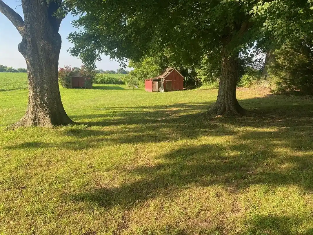 40th image of 130 Antioch Hwy 51 Hwy, Covington, TN 38019 | MLS# 10225731
