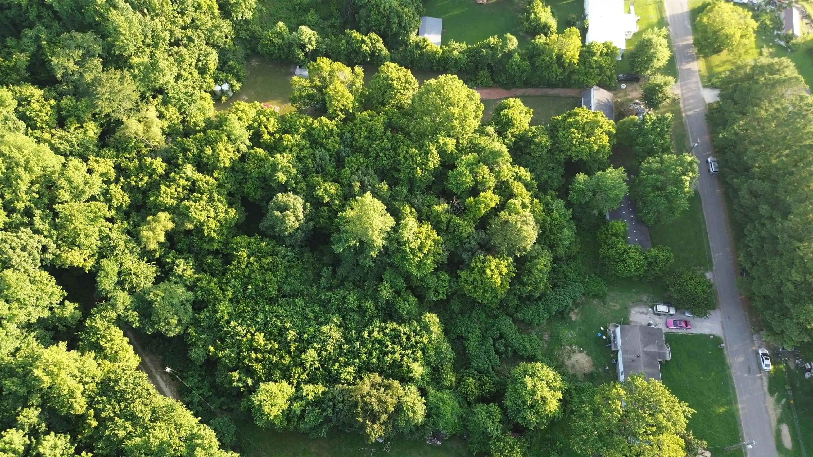 4th image of 92 Cedar Point Rd, Drummonds, TN 38023 | MLS# 10225732