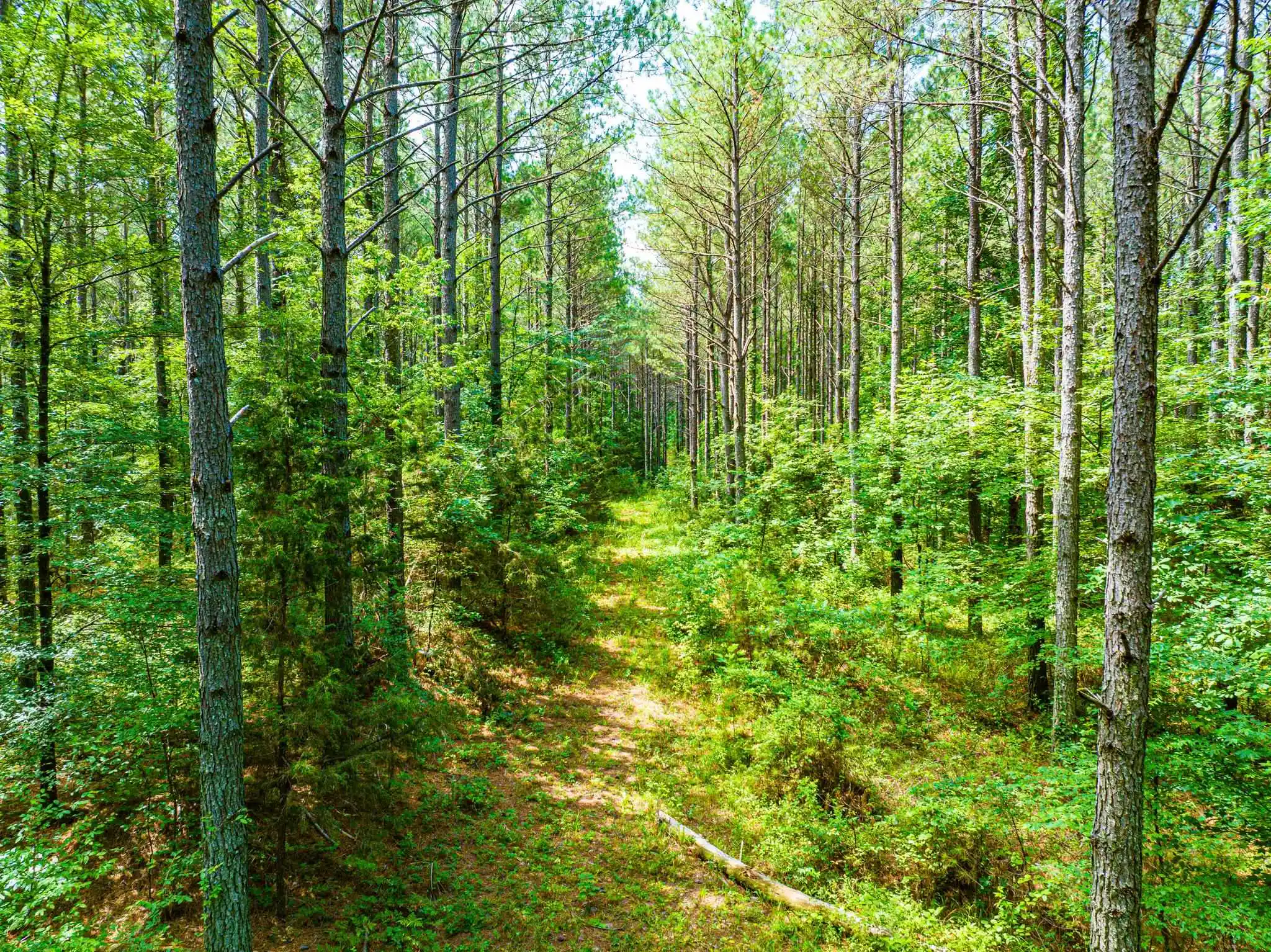 Photo 3 of Land for sale at 0 192 Highway, Holladay, TN 38341 | MLS# 10225766 | Listing updated on 2026-07-31