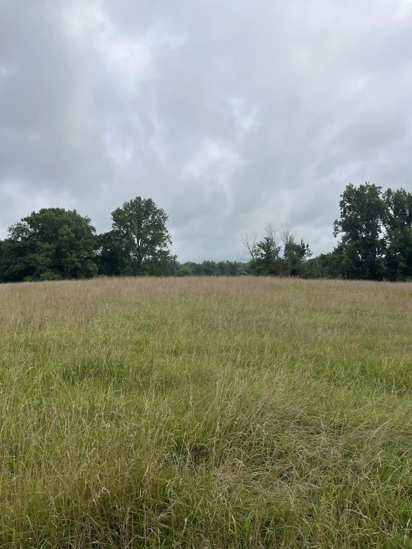 Photo 1 of Land for sale at 899 El Smith Rd, Monroe, TN 38573 | MLS# 10225771 | Listing updated on 2026-07-21