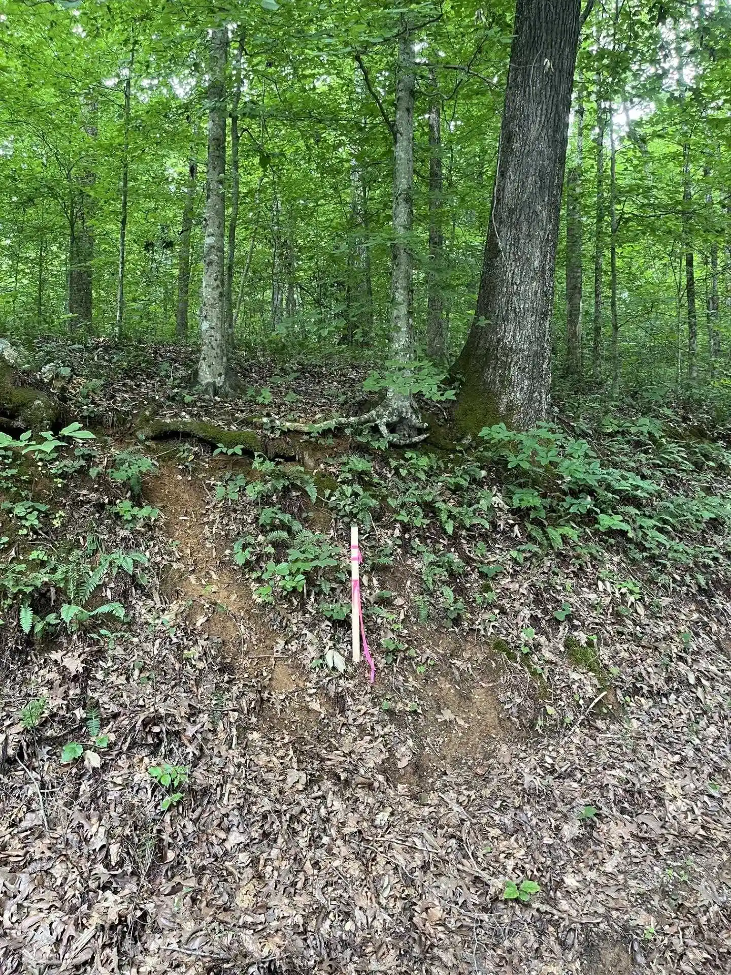 Photo 3 of Land for sale at 899 El Smith Rd, Monroe, TN 38573 | MLS# 10225771 | Listing updated on 2026-07-21