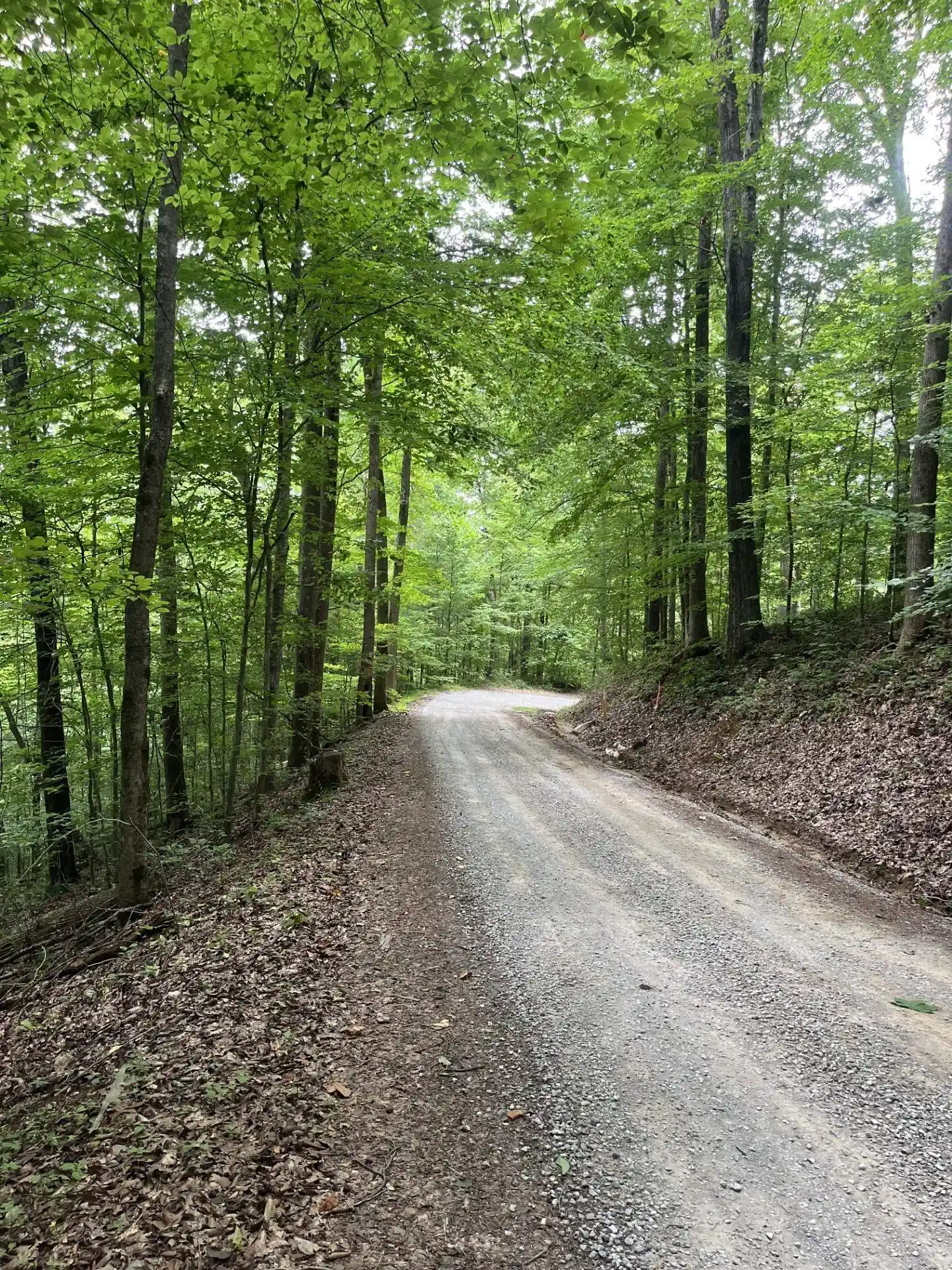 Photo 3 of Land for sale at 899 El Smith Rd, Monroe, TN 38573 | MLS# 10225771 | Listing updated on 2026-07-21