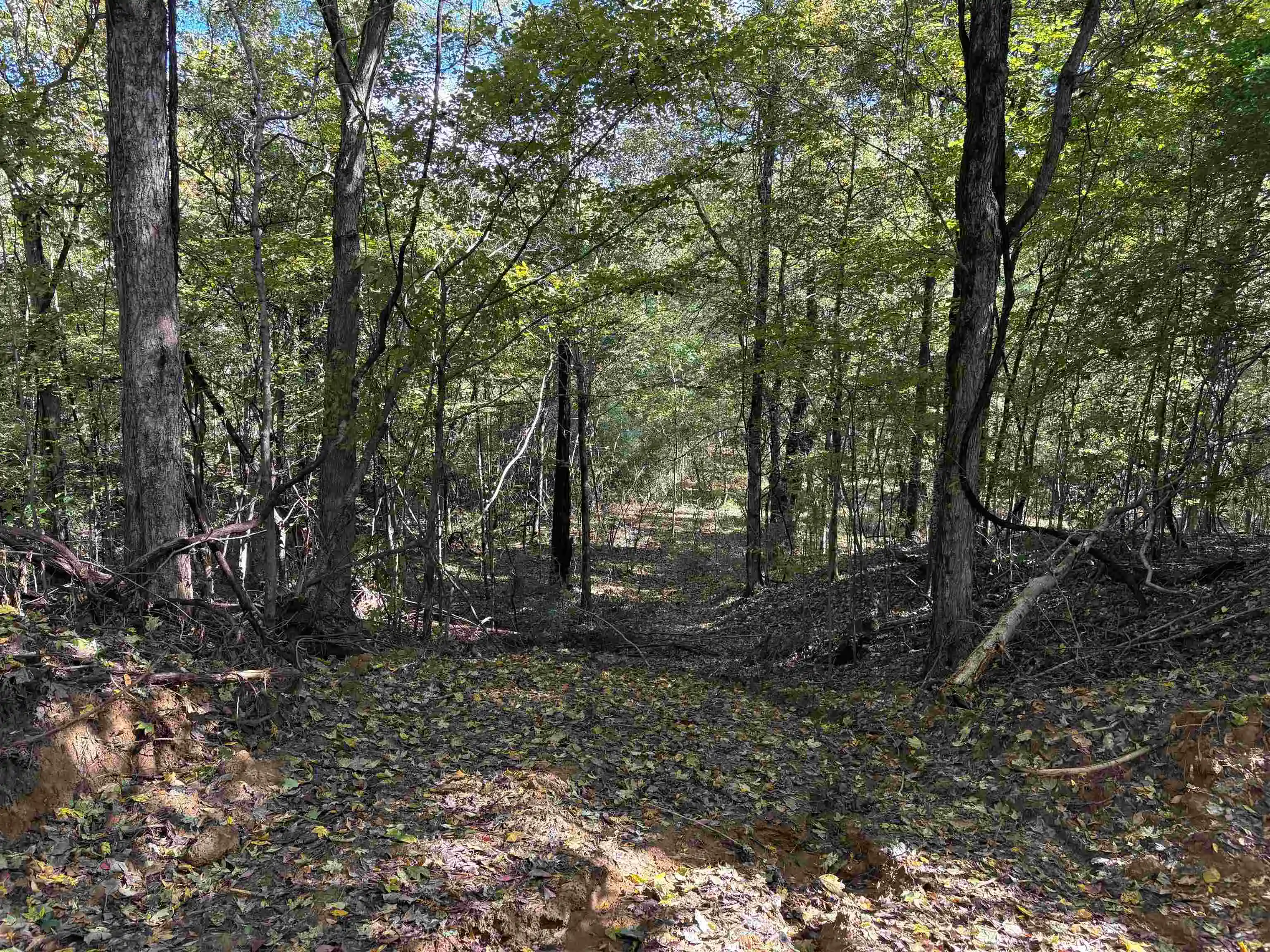 3rd image of 0 Mudville Rd #Parcel 3, Millington, TN 38053 | MLS# 10225794