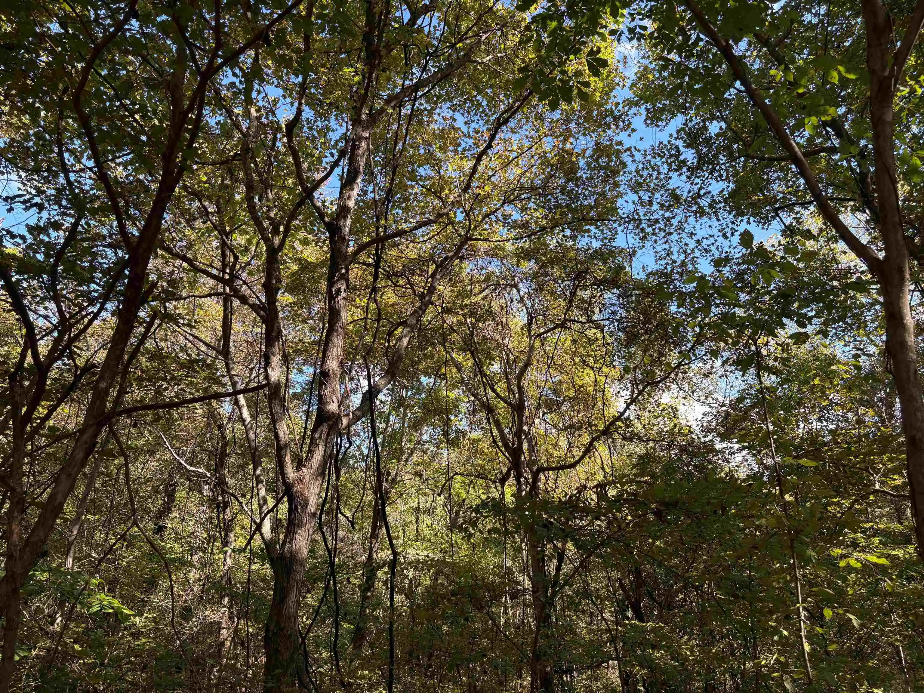 5th image of 0 Mudville Rd #Parcel 3, Millington, TN 38053 | MLS# 10225794