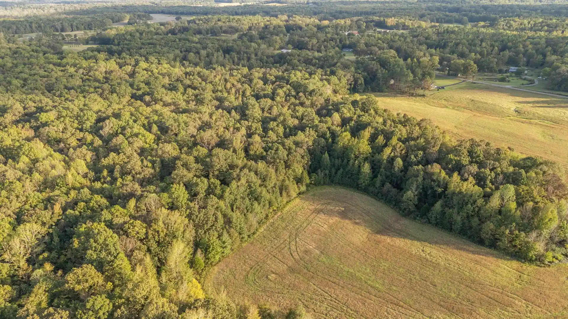 Homes for sale in Middleton, TN | 0 Pea Vine Rd, Middleton, TN 38052 | MLS# 10225797