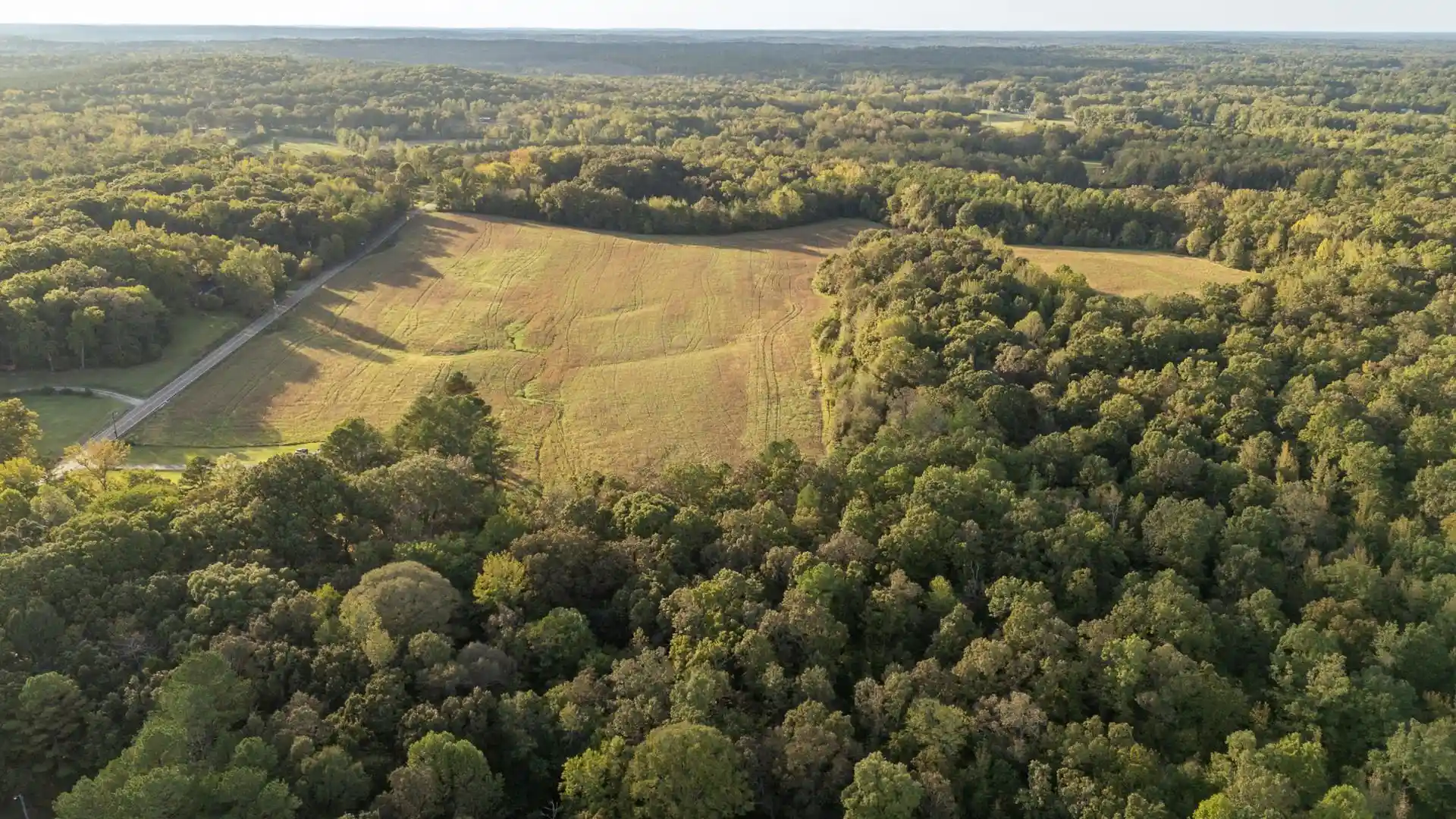 Homes for sale in Middleton, TN | 0 Pea Vine Rd, Middleton, TN 38052 | MLS# 10225797